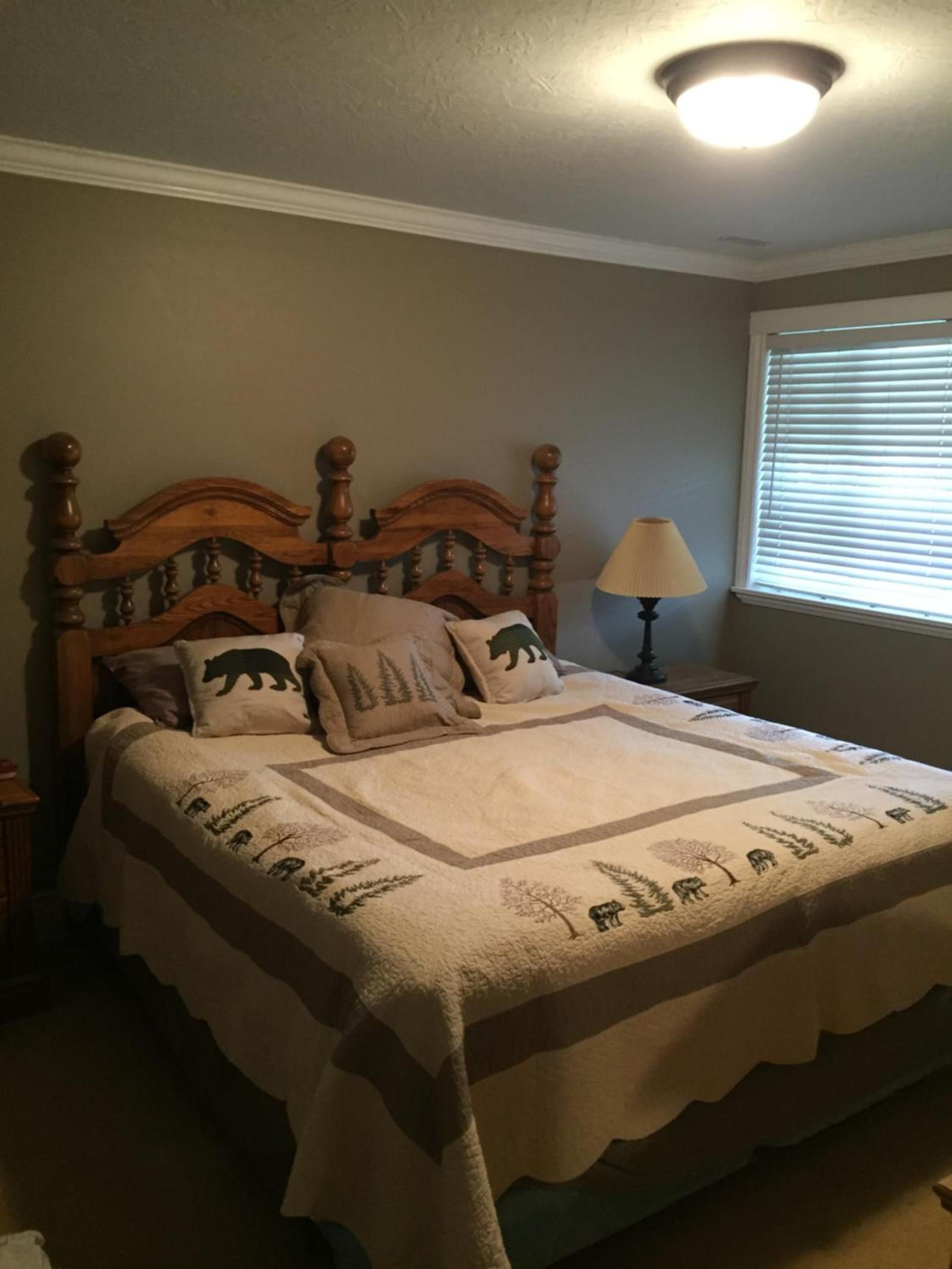 Cozy Bear Lodge photo 6