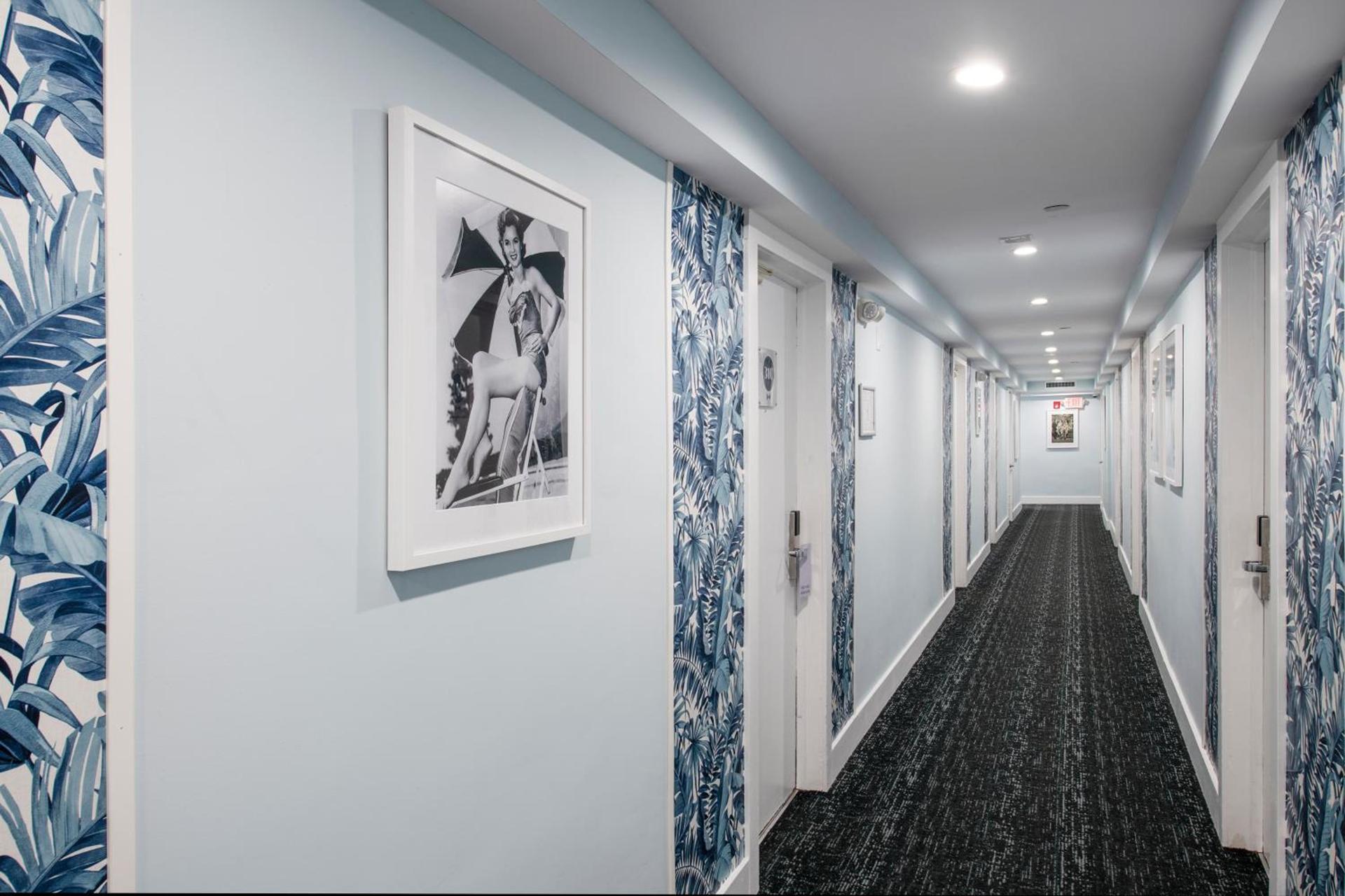 Penguin Hotel photo 13