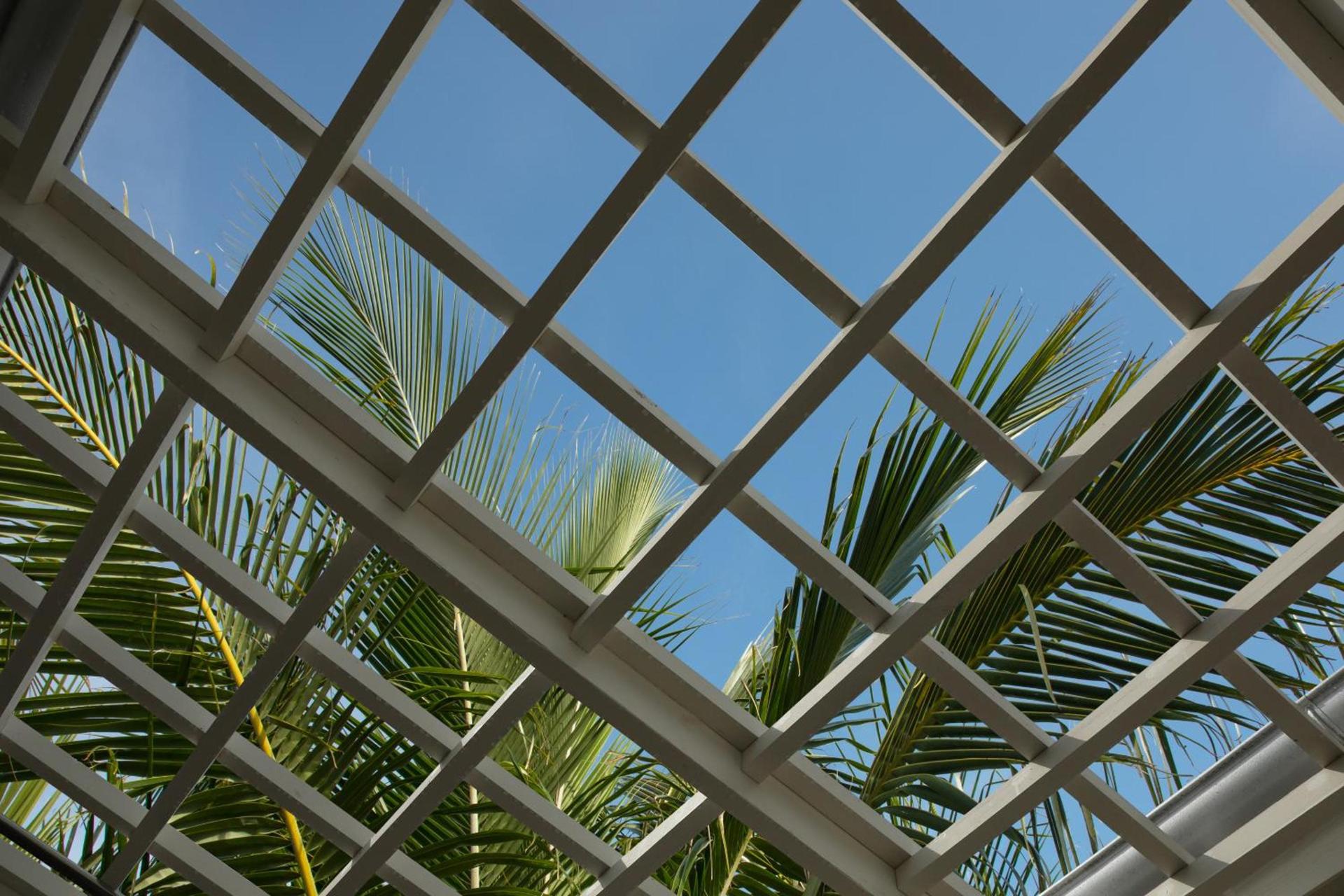 Bungalows Key Largo - All Inclusive photo 92