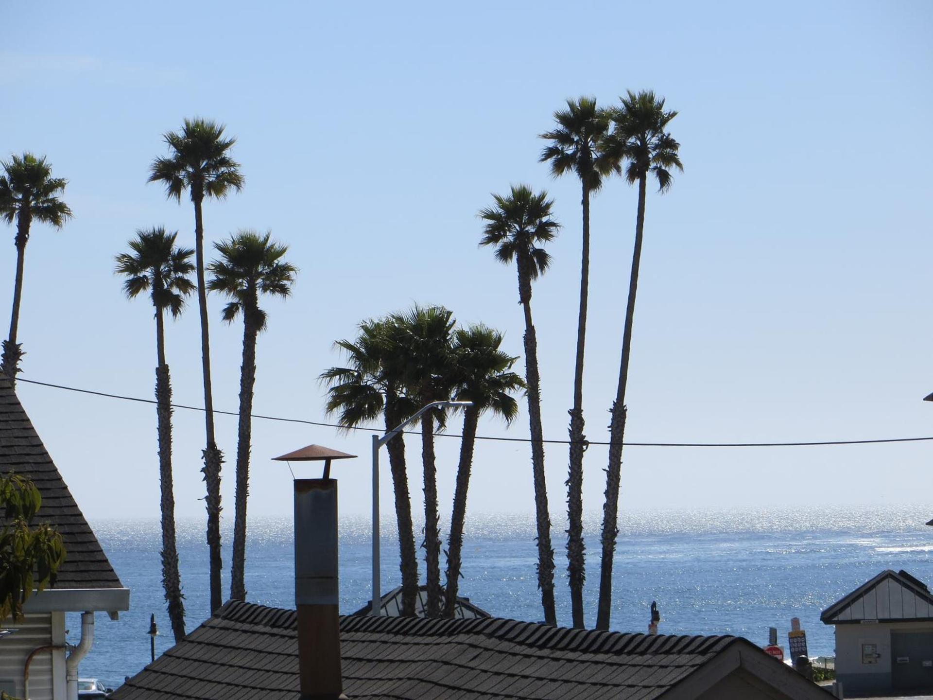 Beachview Inn photo 19