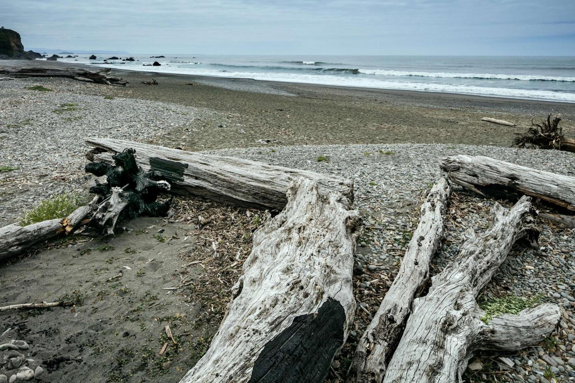 Beachfront Inn photo 21