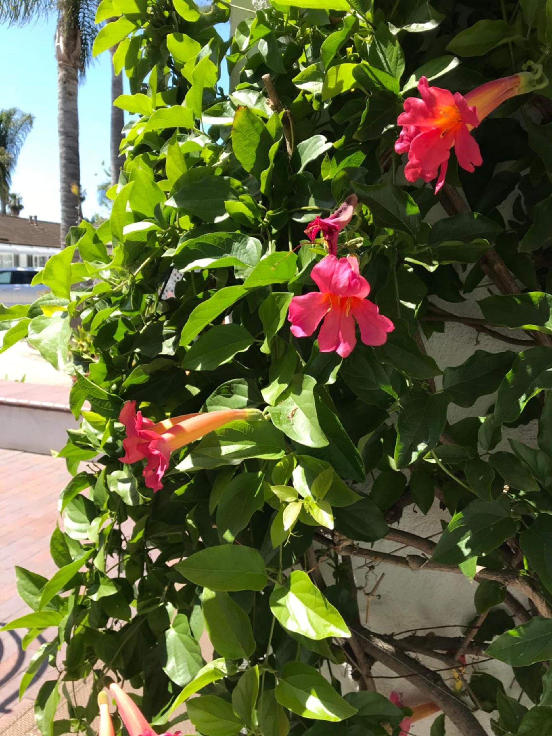 Marina Beach Hotel photo 46