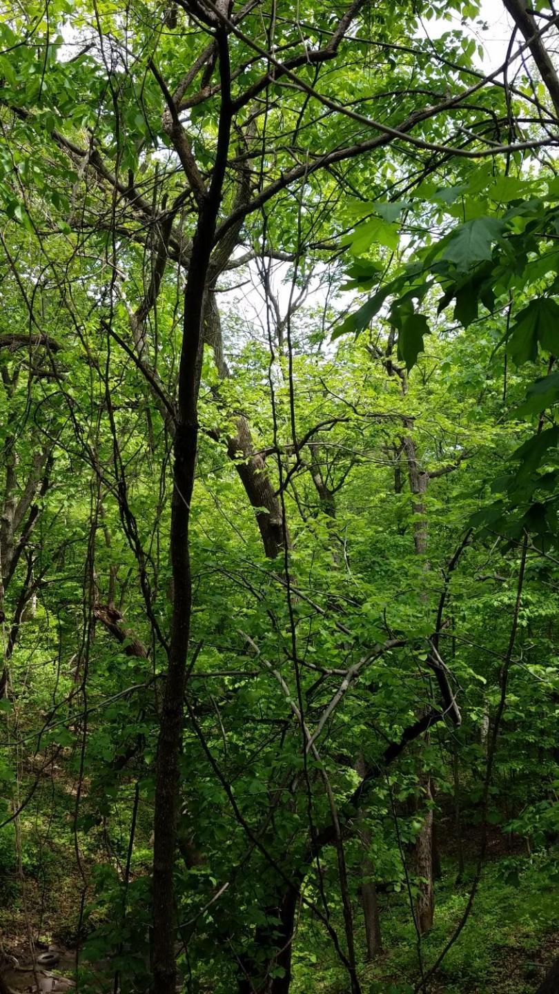 Burr Oak Motel photo 24