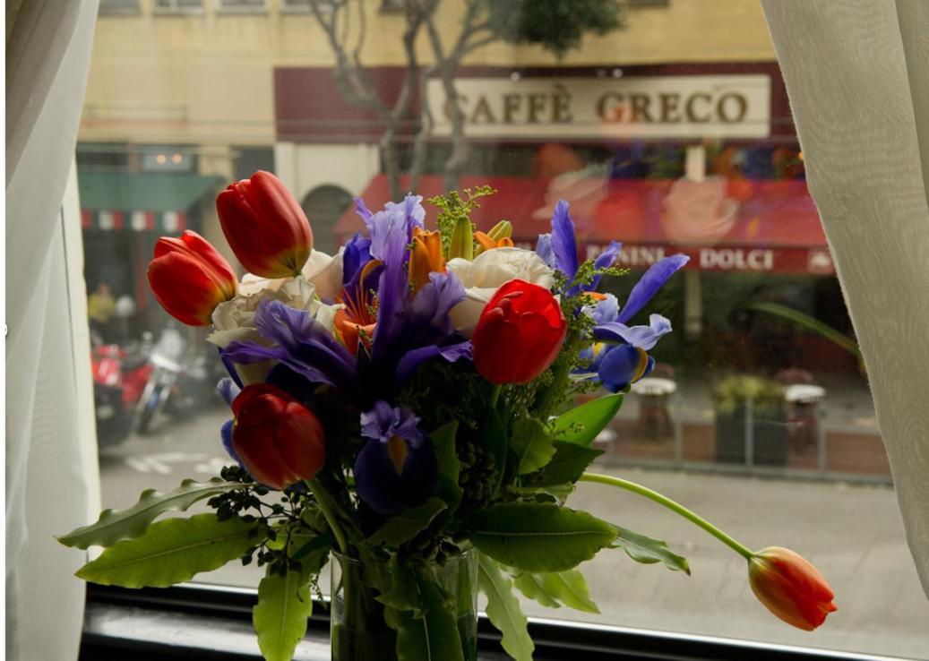 Hotel Boheme photo 8