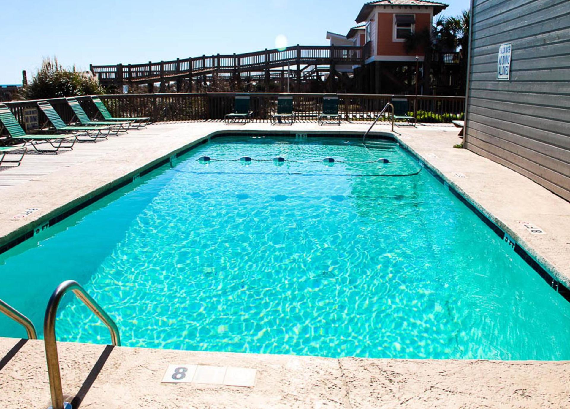 Ocean Forest Colony photo 13