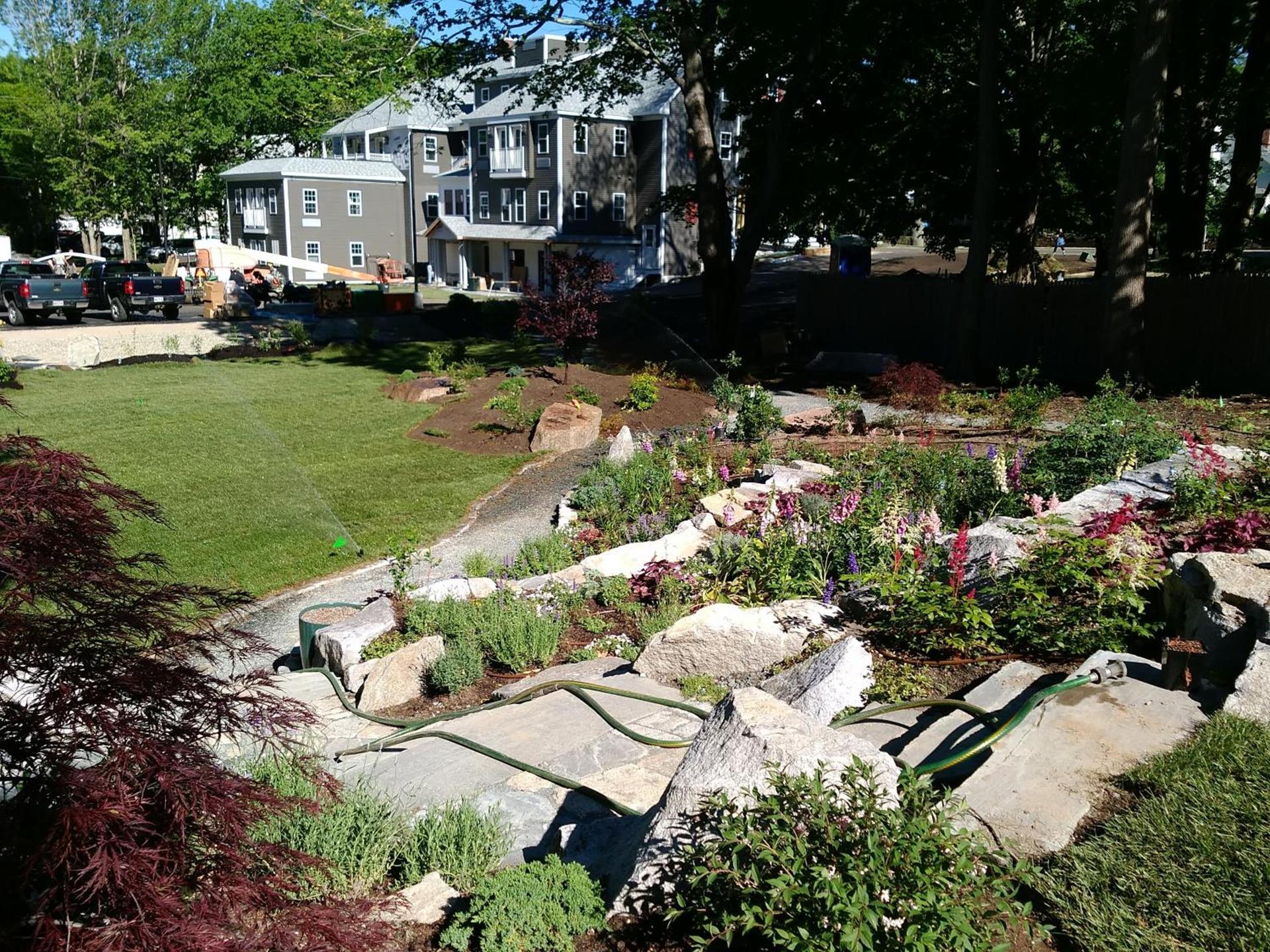 The Inn on Mount Desert photo 57