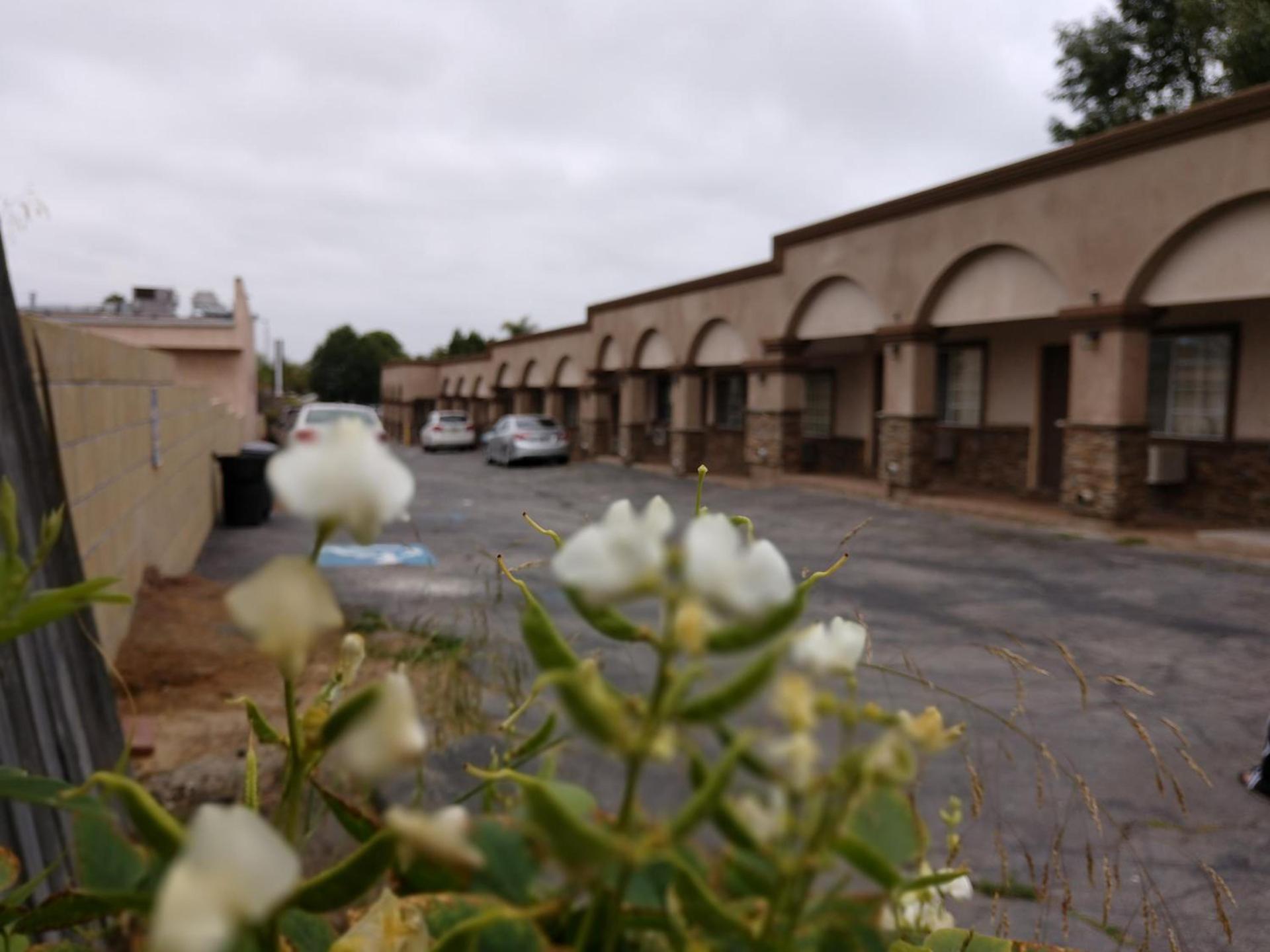 Bartlett Motel photo 10