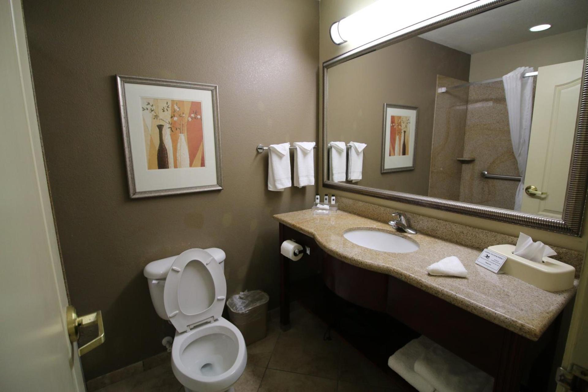 Seffner Inn and Suites photo 29