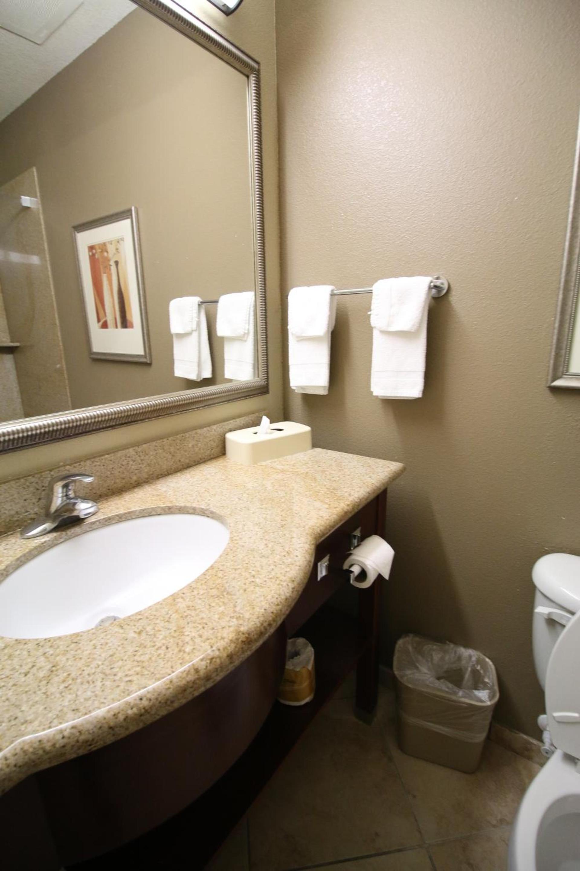 Seffner Inn and Suites photo 10