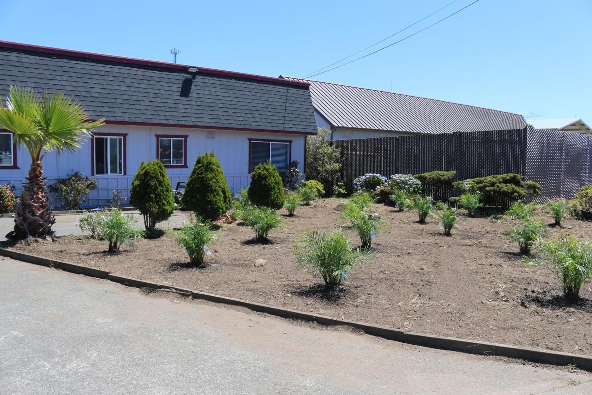 Westward Inn photo 15