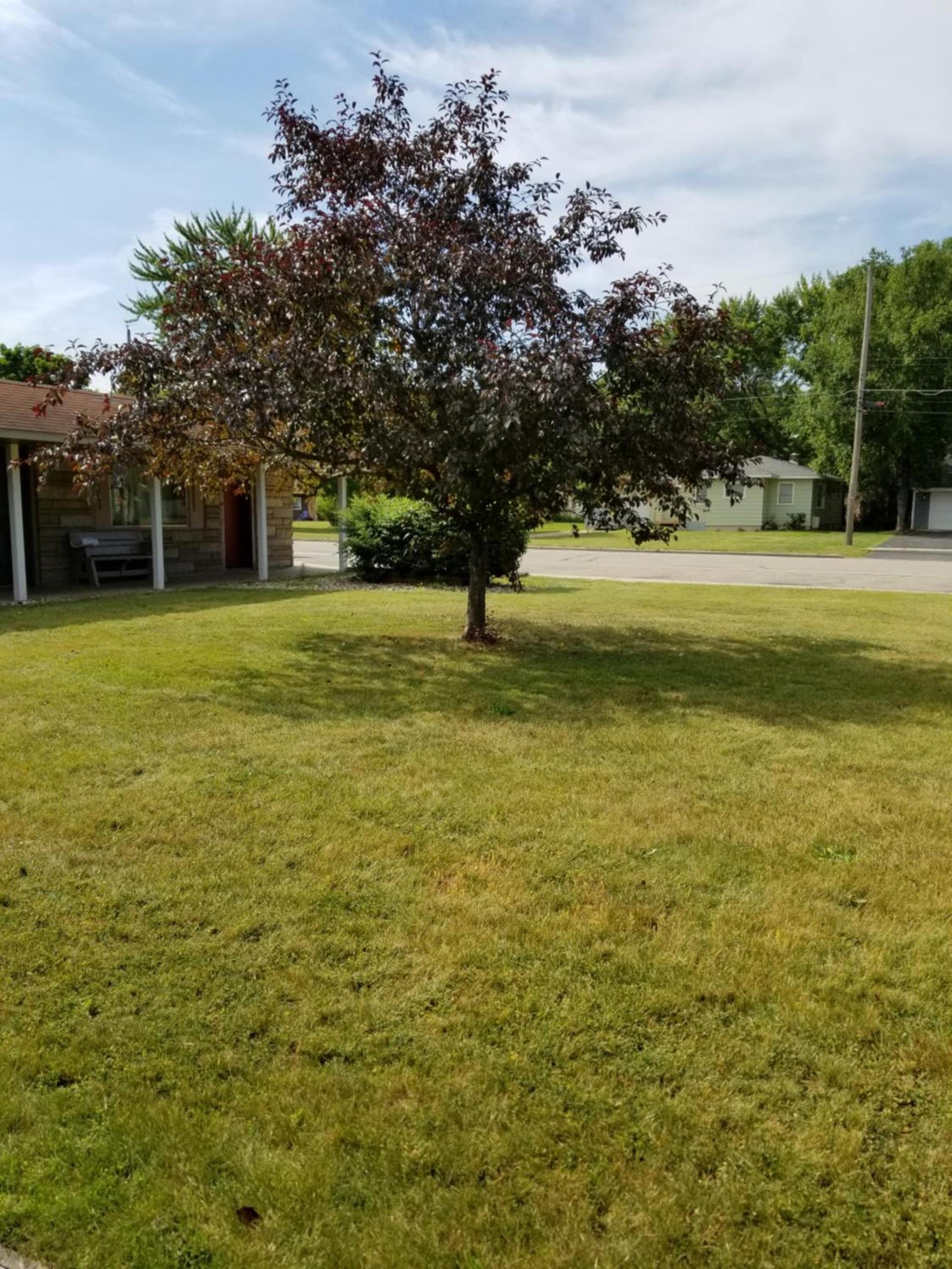 Wolds Motel - Mt. Pleasant photo 6