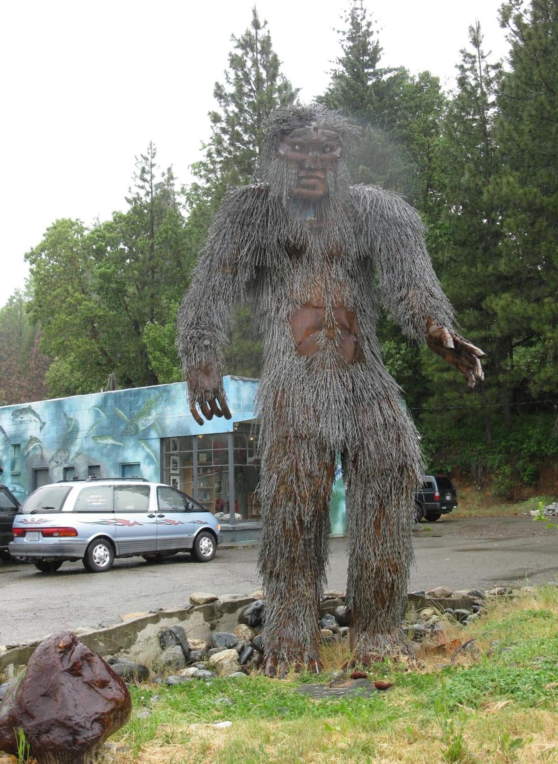 Forest Lodge Motel photo 21