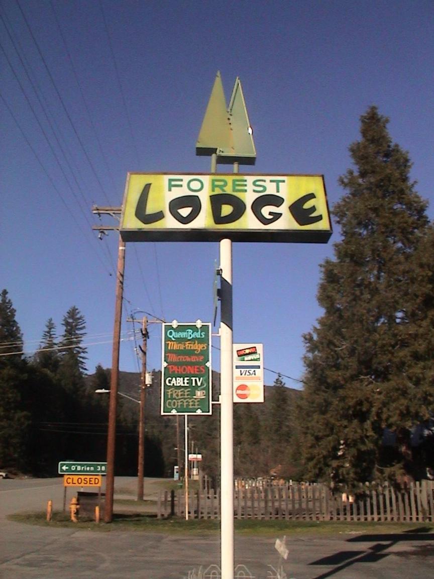 Forest Lodge Motel photo 18