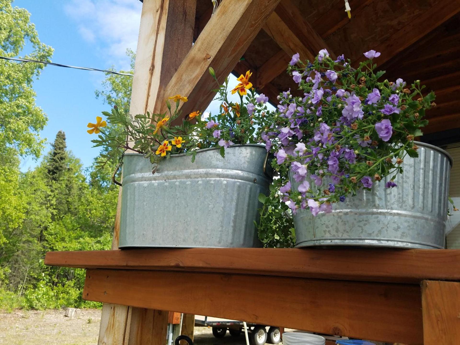 Cache Cabins photo 7