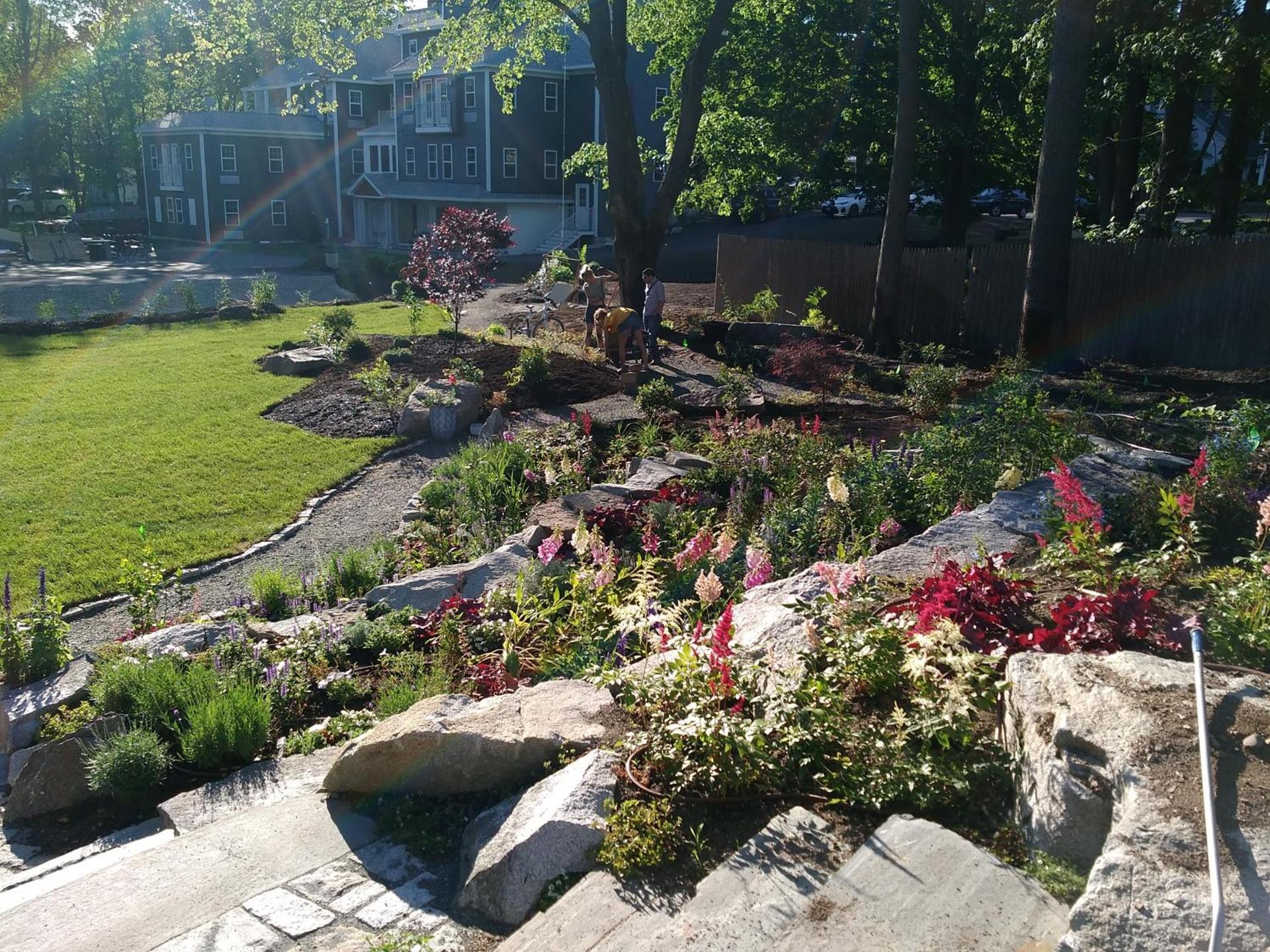 The Inn on Mount Desert photo 18