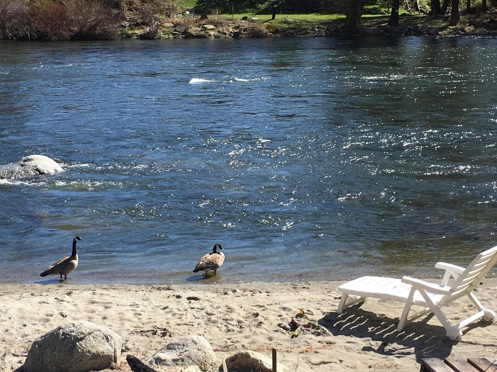 River's Edge Lodge photo 9