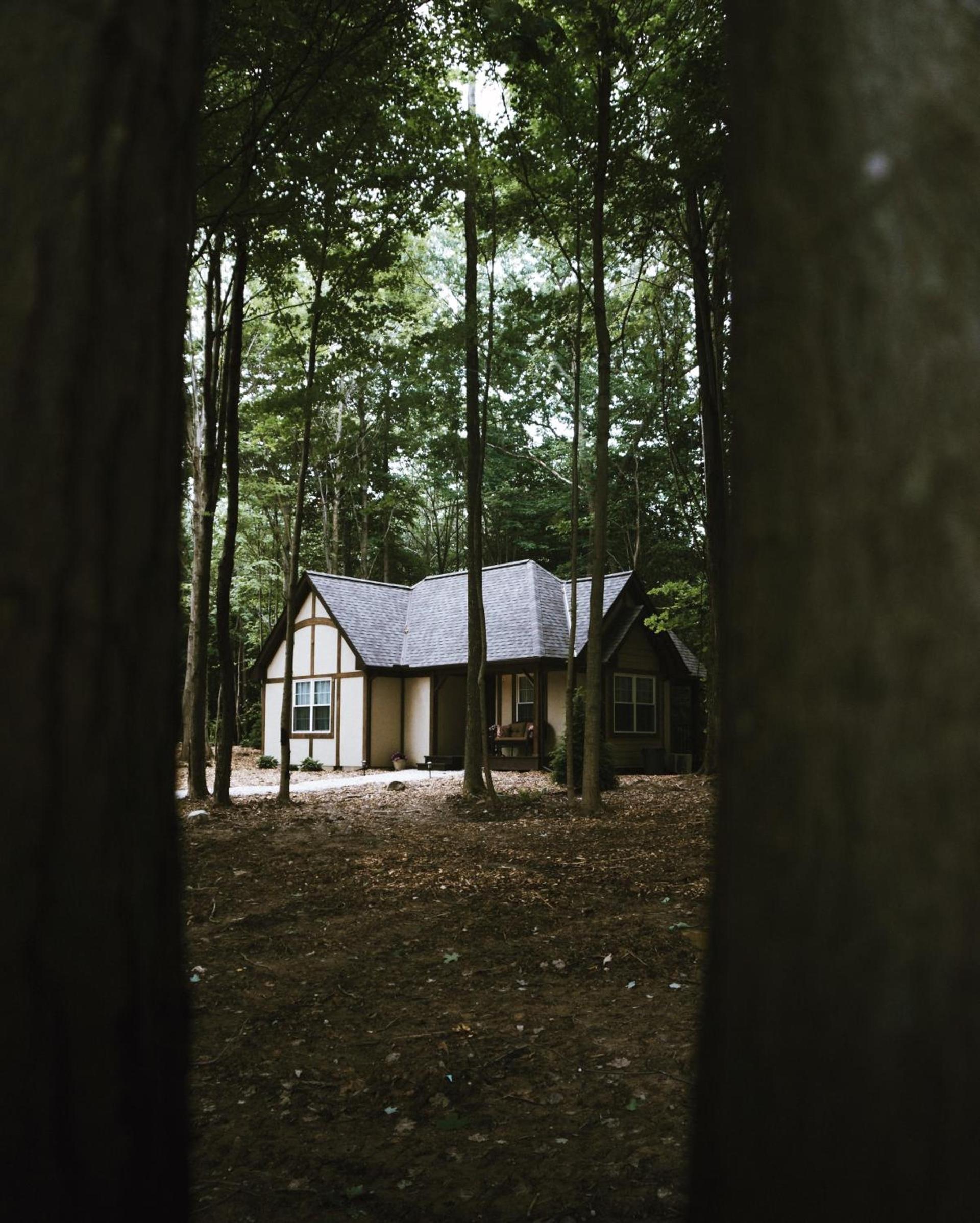 Vineyard Woods photo 7