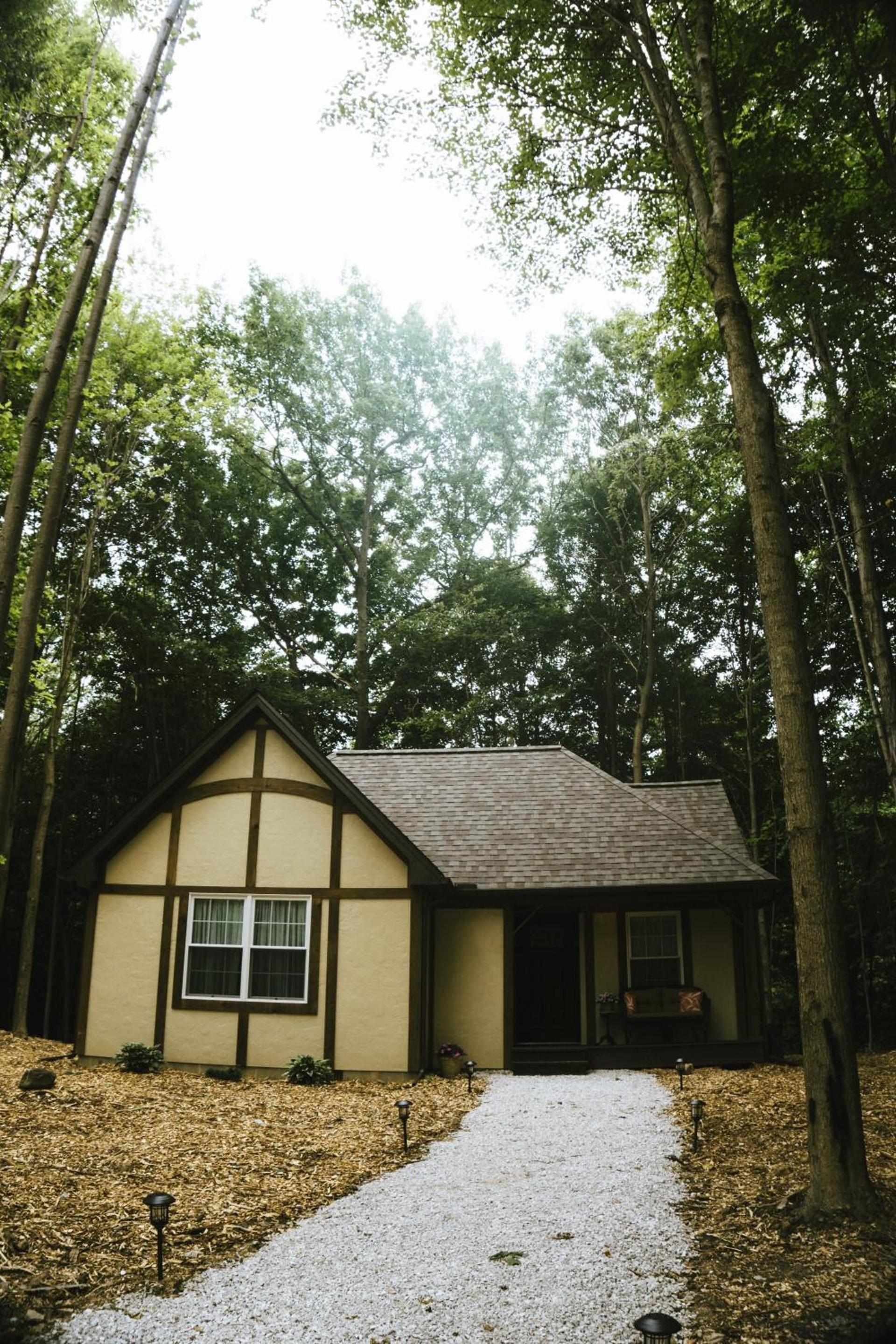 Vineyard Woods photo 9