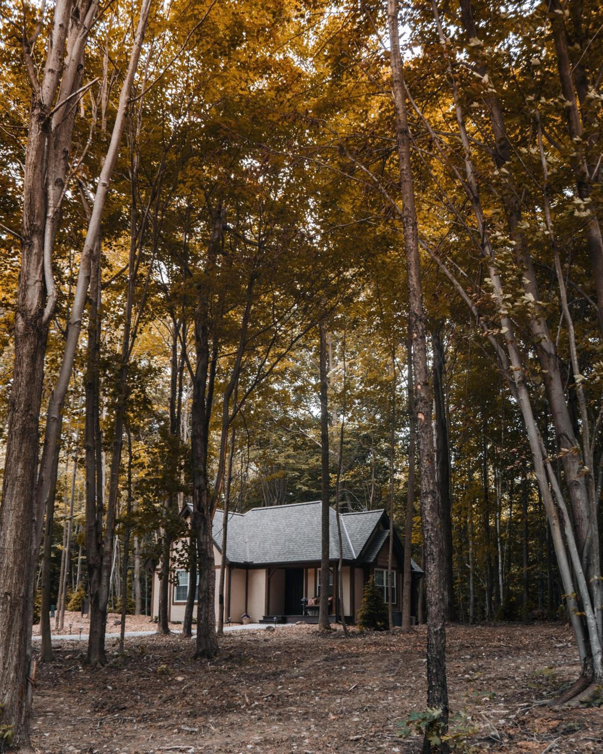 Vineyard Woods photo 10