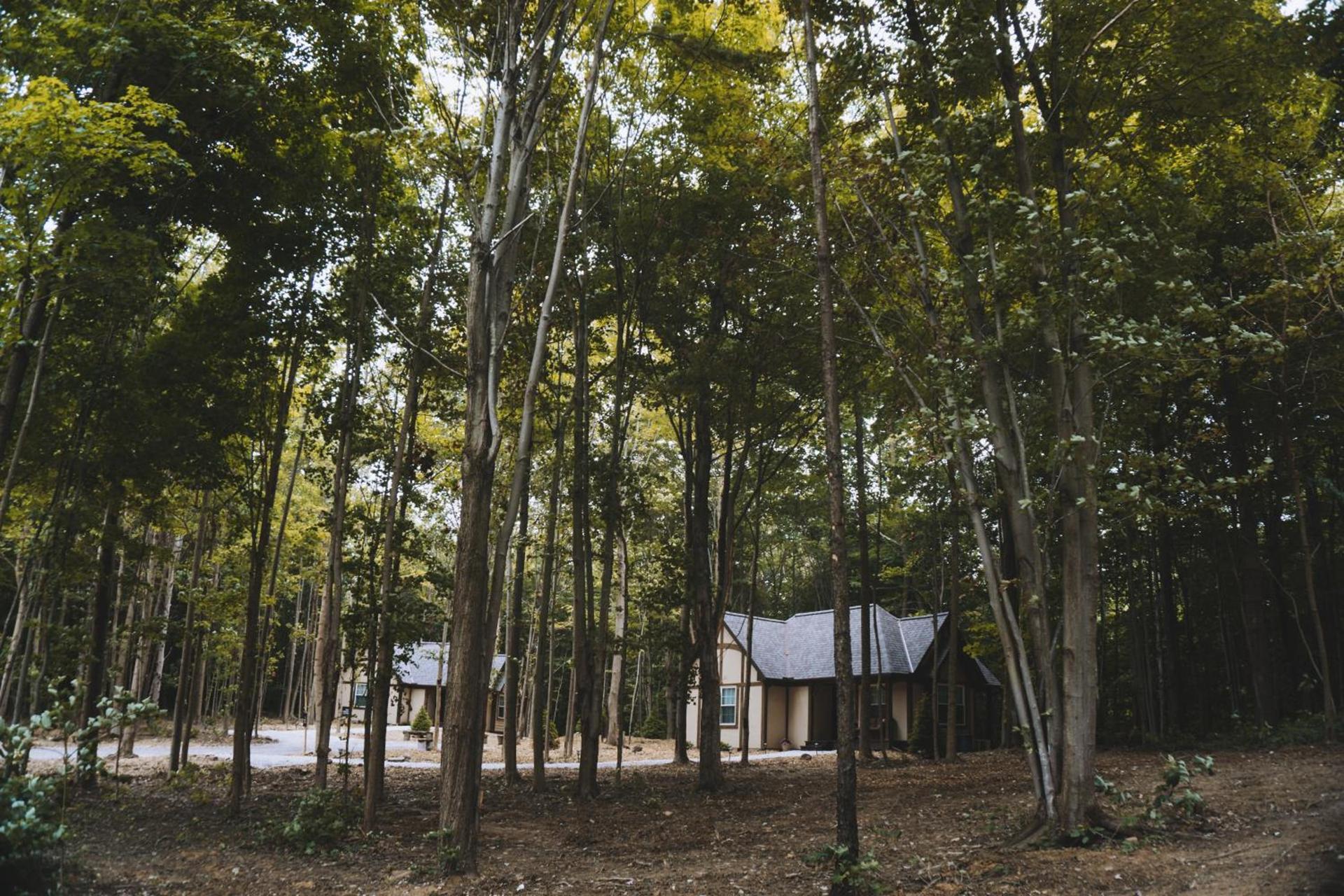 Vineyard Woods photo 12