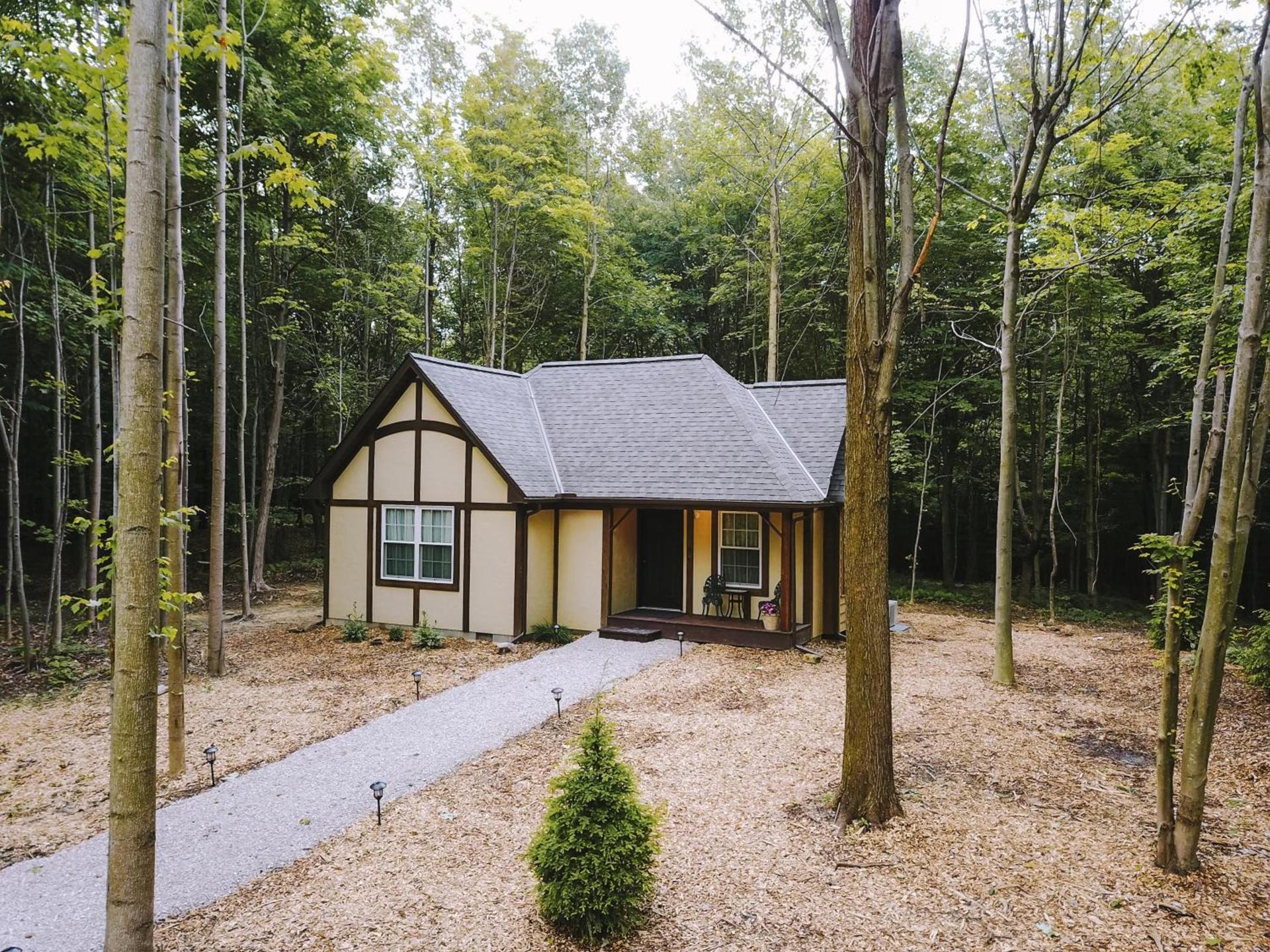 Vineyard Woods photo 3