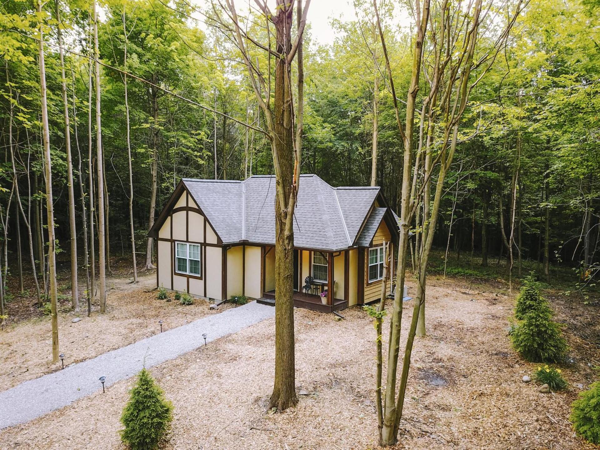 Vineyard Woods photo 16