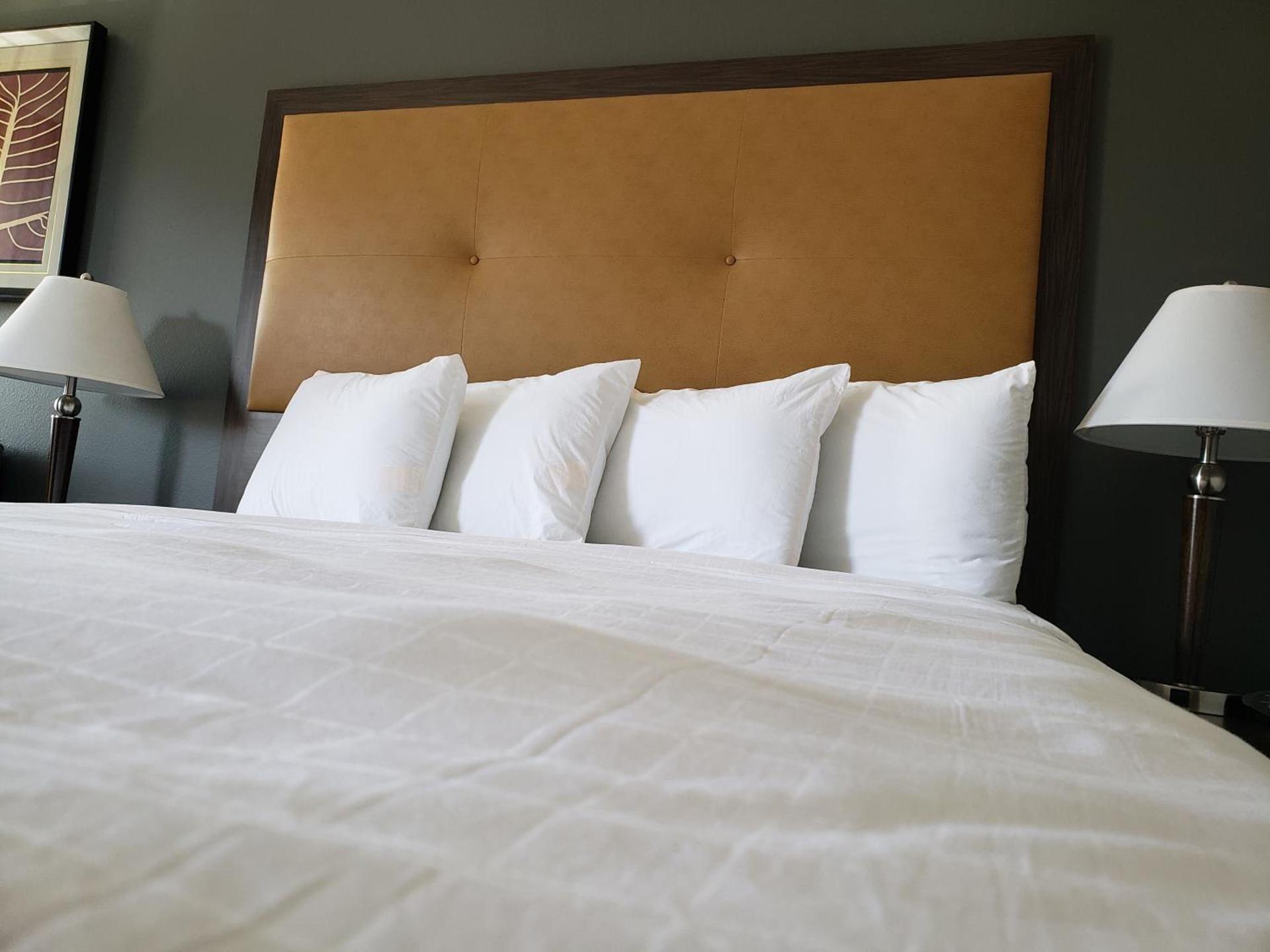 Portofino Inn Burbank photo 14