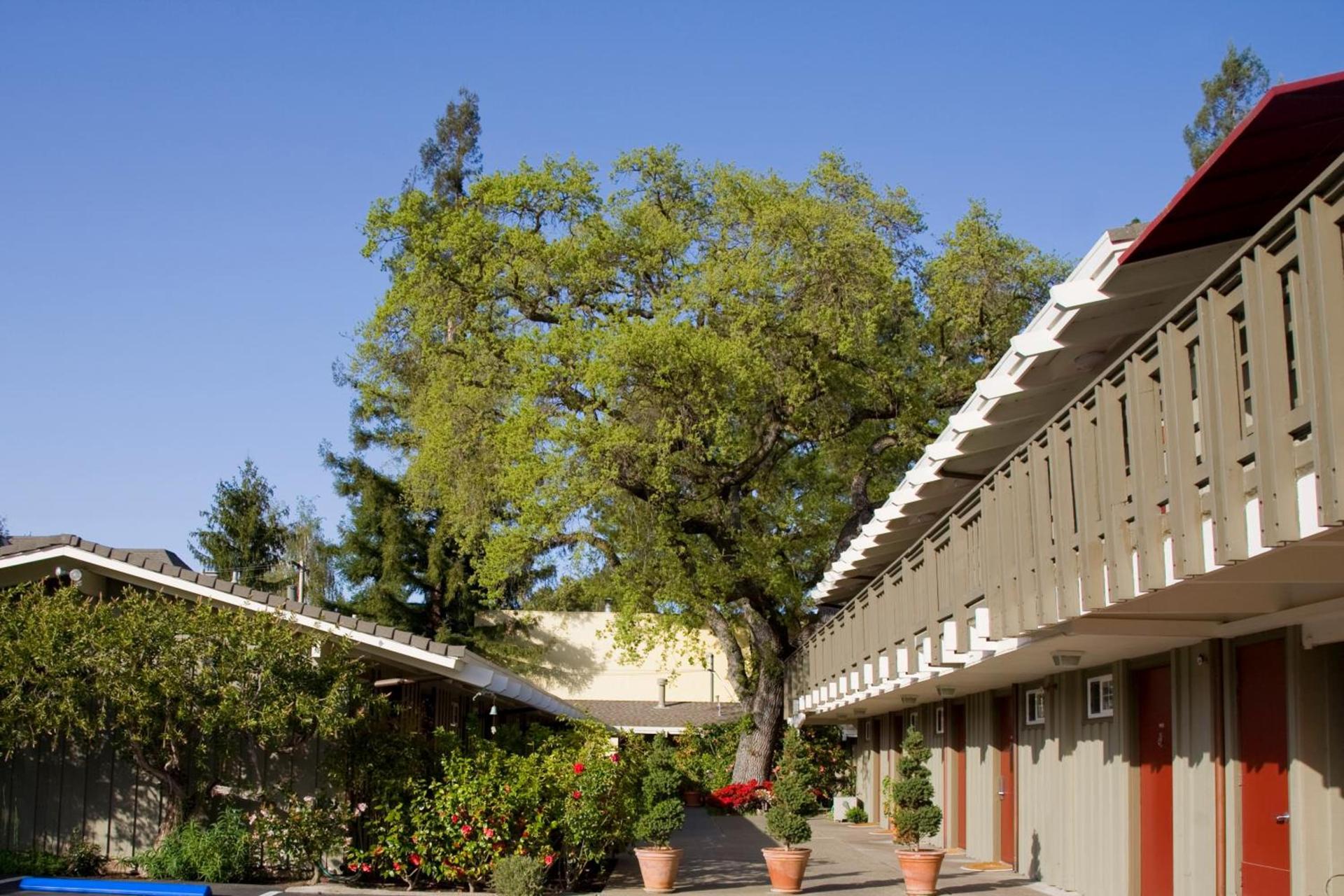 The Cottages Hotel photo 19