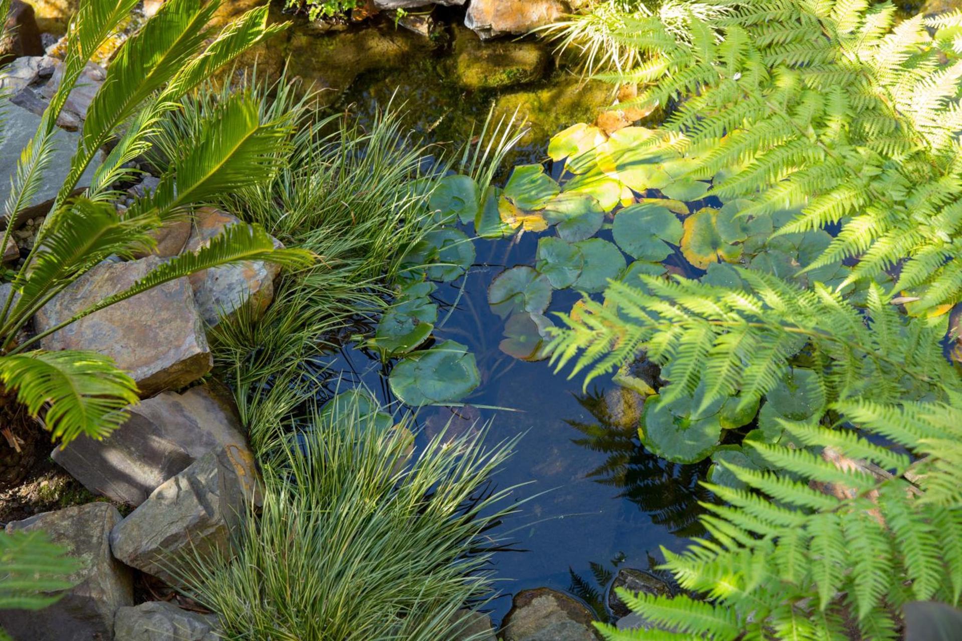 Tradewinds Carmel photo 11