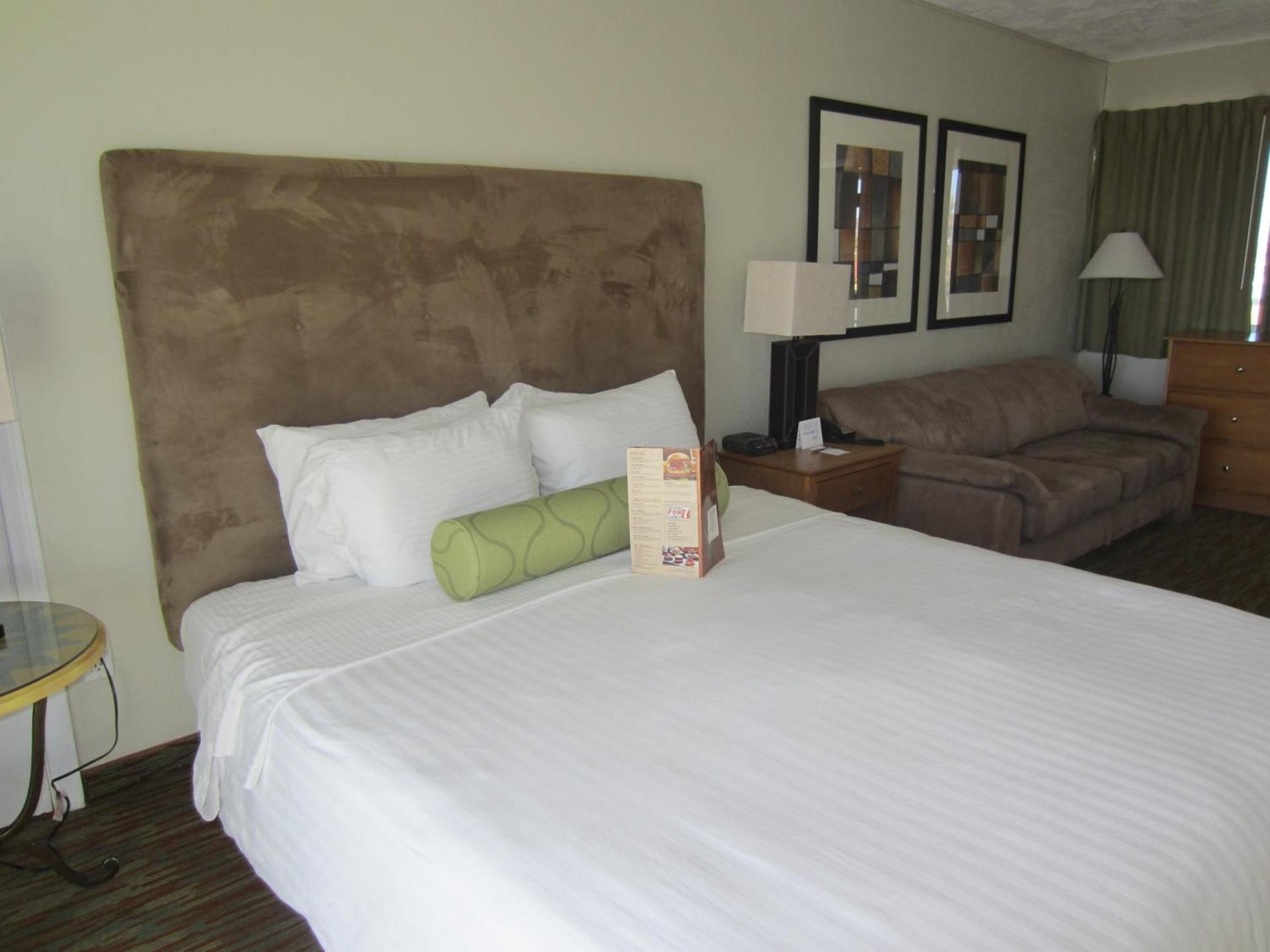 Surfer Beach Hotel photo 45