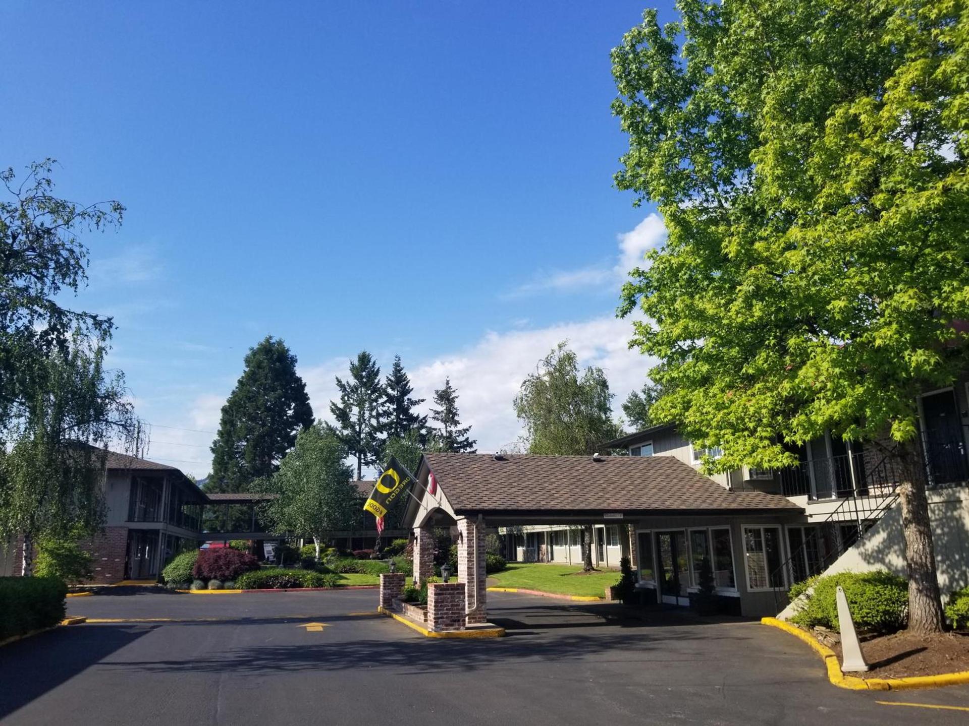Village Inn photo 17