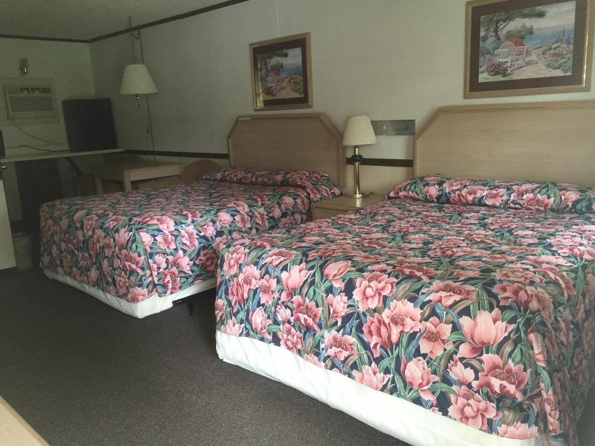 Twin Pine Motel photo 8