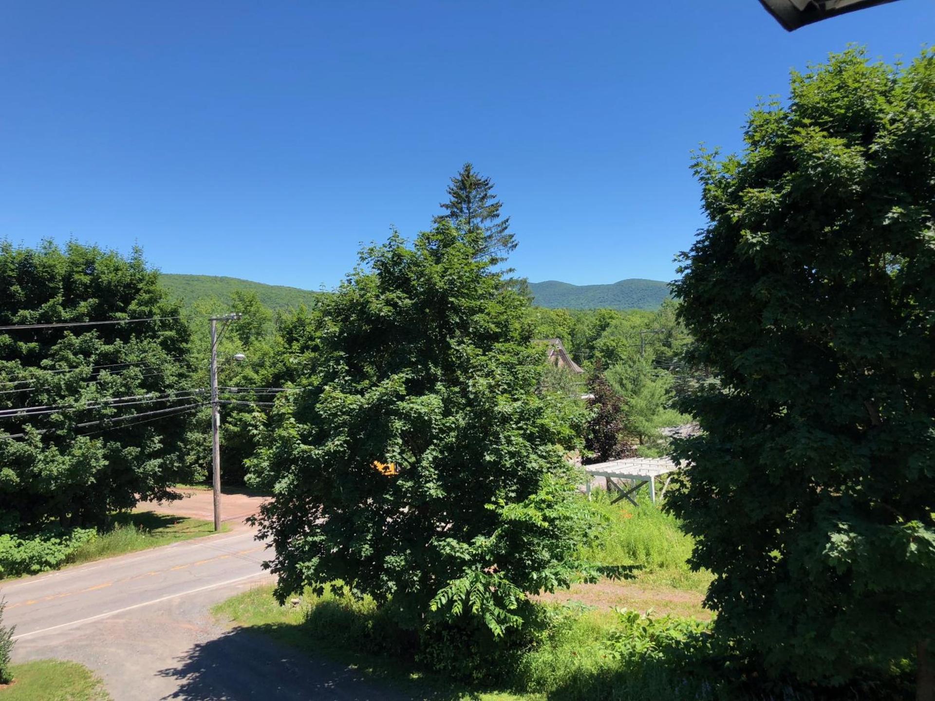 Antique Rose Inn Windham photo 10