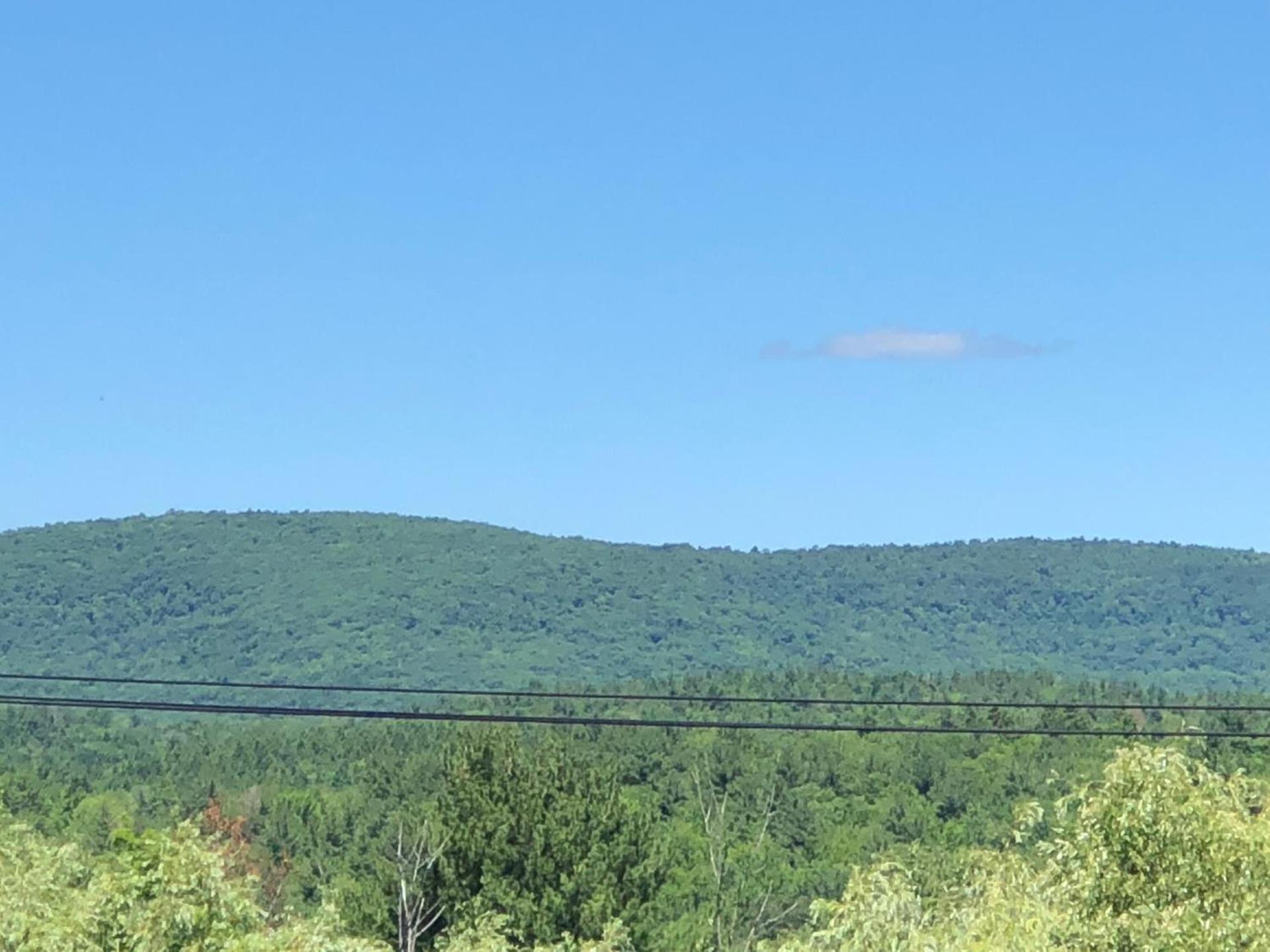 Antique Rose Inn Windham photo 4