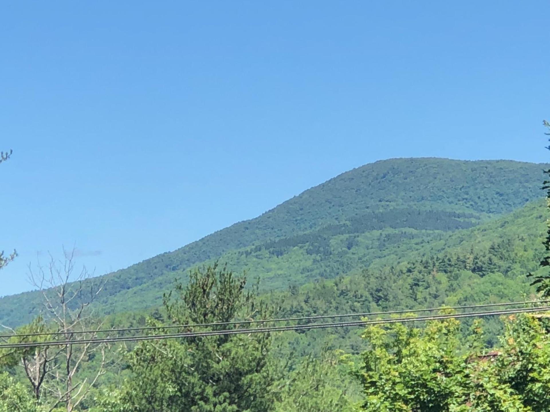 Antique Rose Inn Windham photo 13