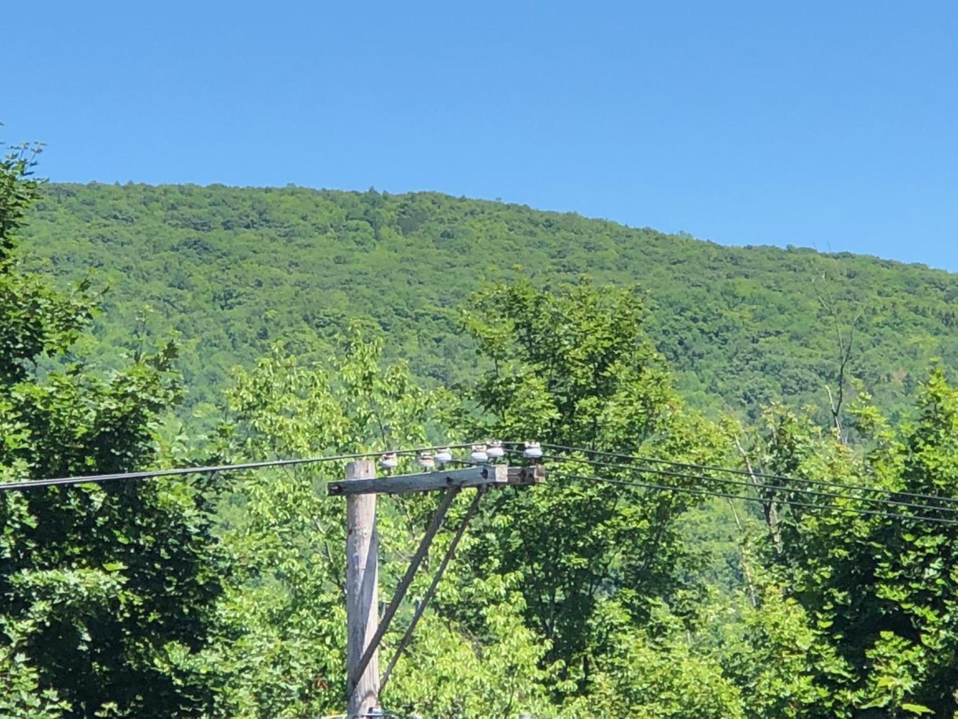 Antique Rose Inn Windham photo 12