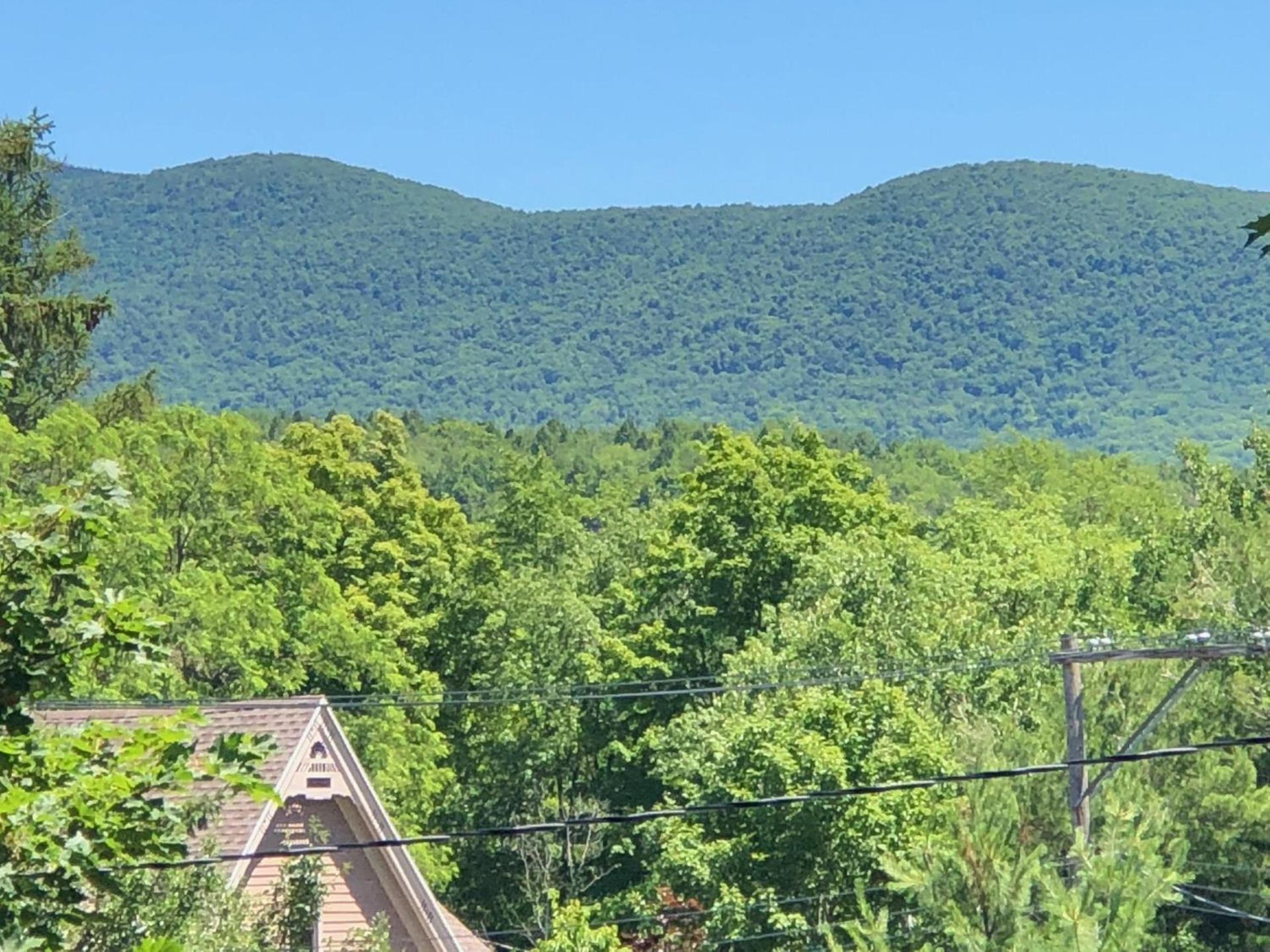 Antique Rose Inn Windham photo 11
