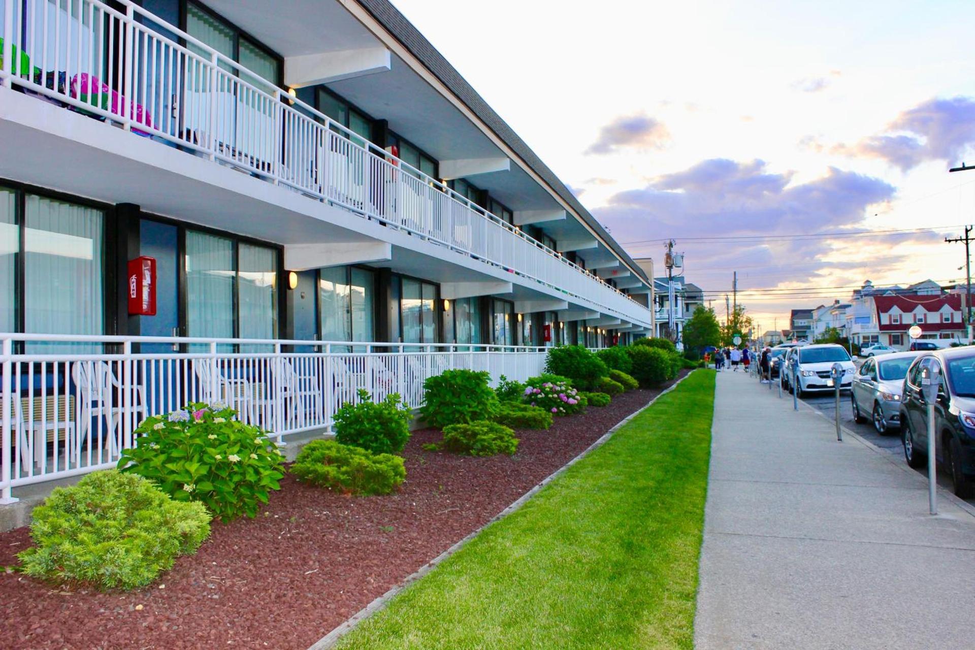 Harris House by the Beach photo 15