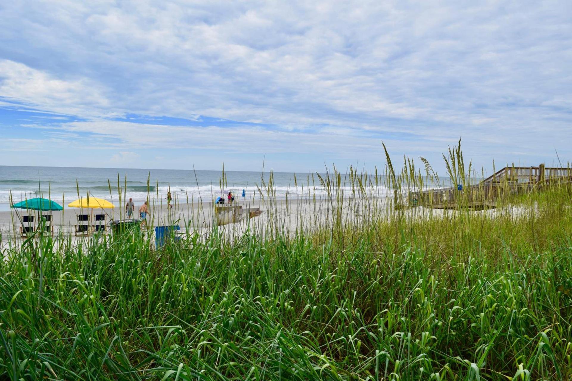 Ocean Forest Colony photo 10