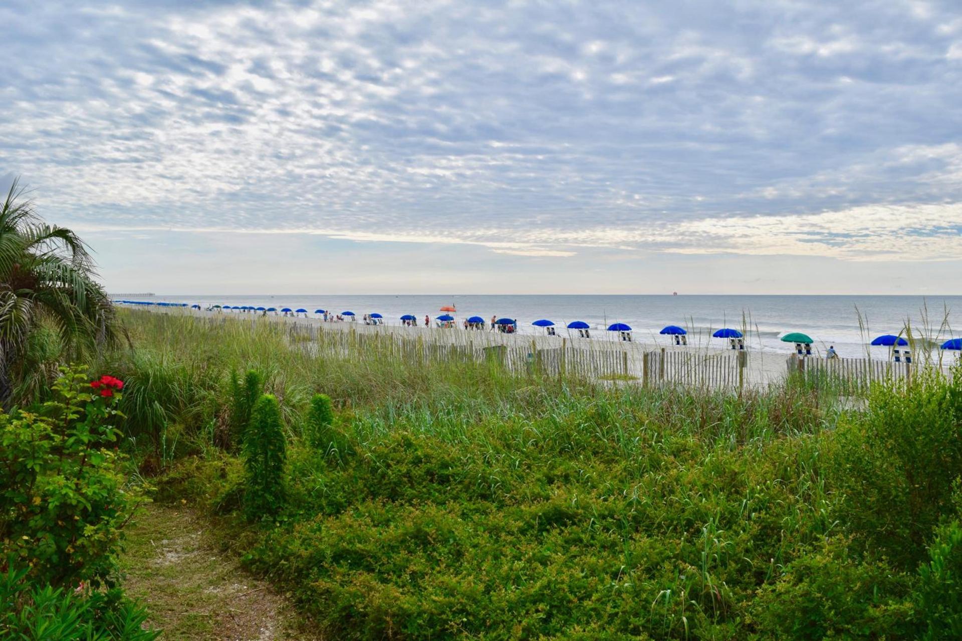 Ocean Forest Colony photo 11