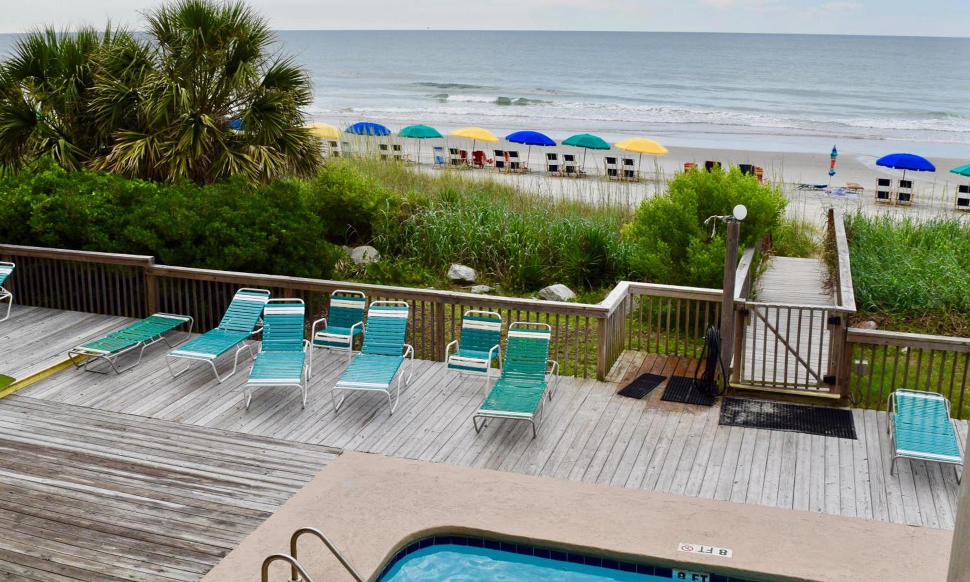Ocean Forest Colony photo 12