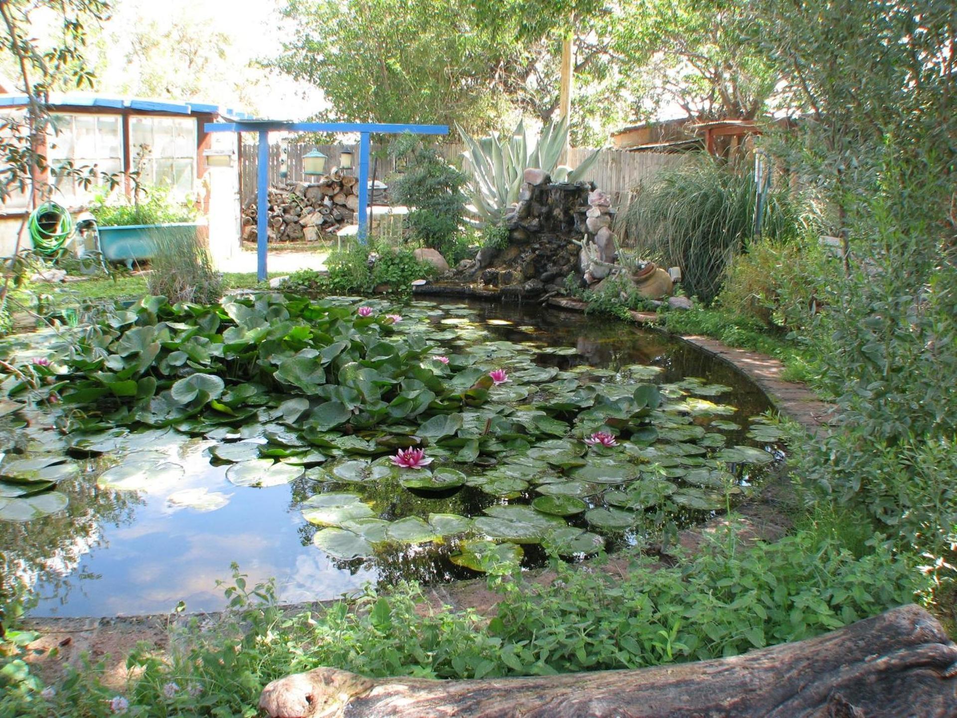 Mountain Valley Lodge photo 3