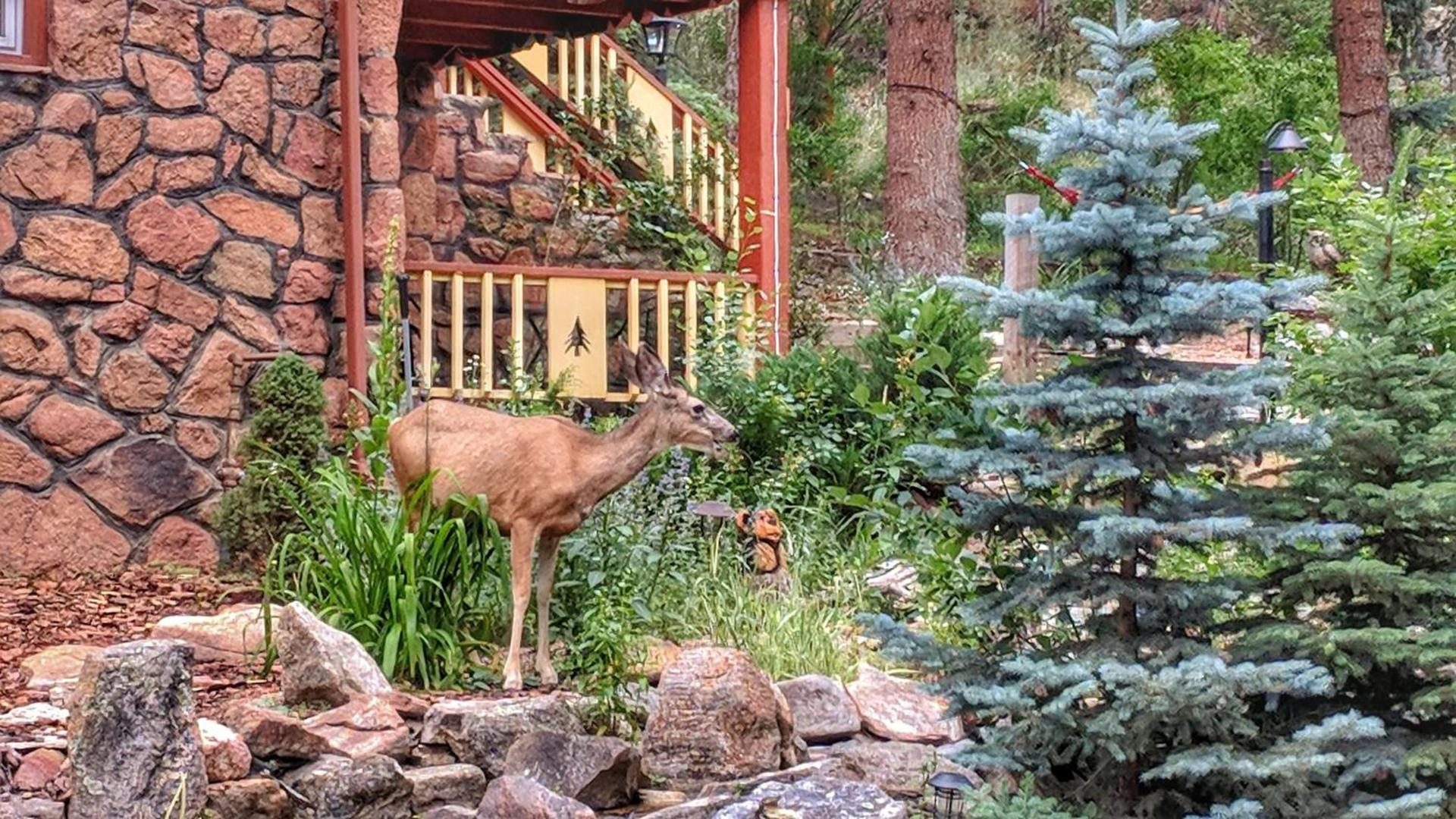 Alpen Way Chalet Mountain Lodge photo 44