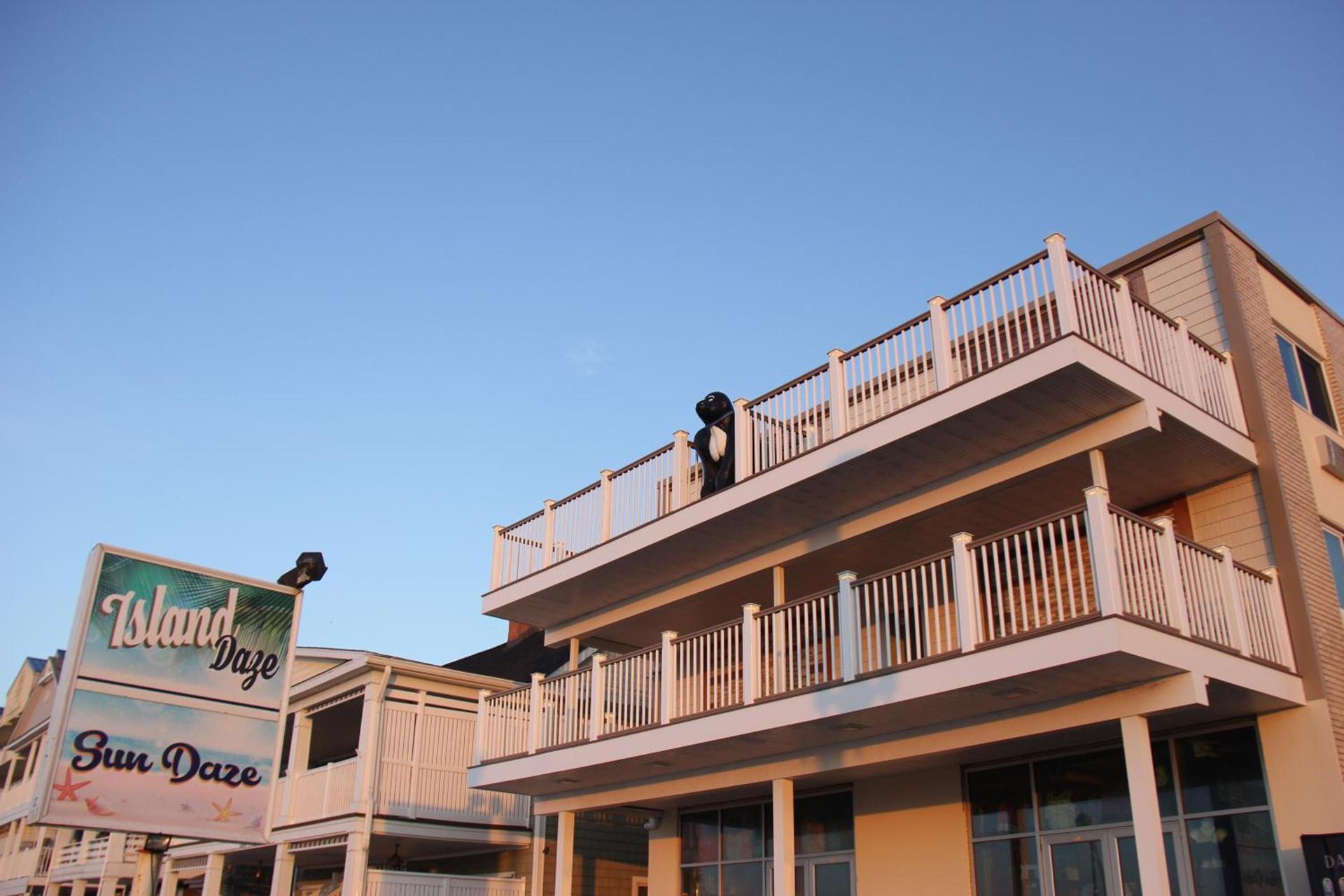 Safari Hotel Boardwalk photo 14