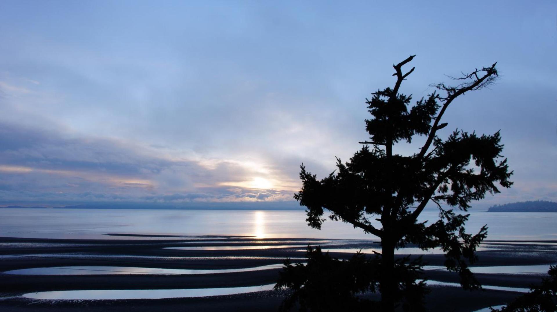 Raintree's Sandcastle, Birch Bay photo 43