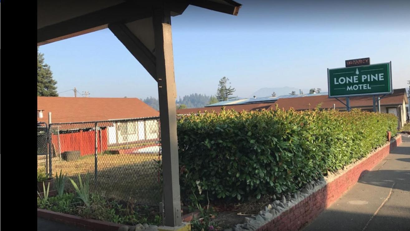 Lone Pine Motel photo 16