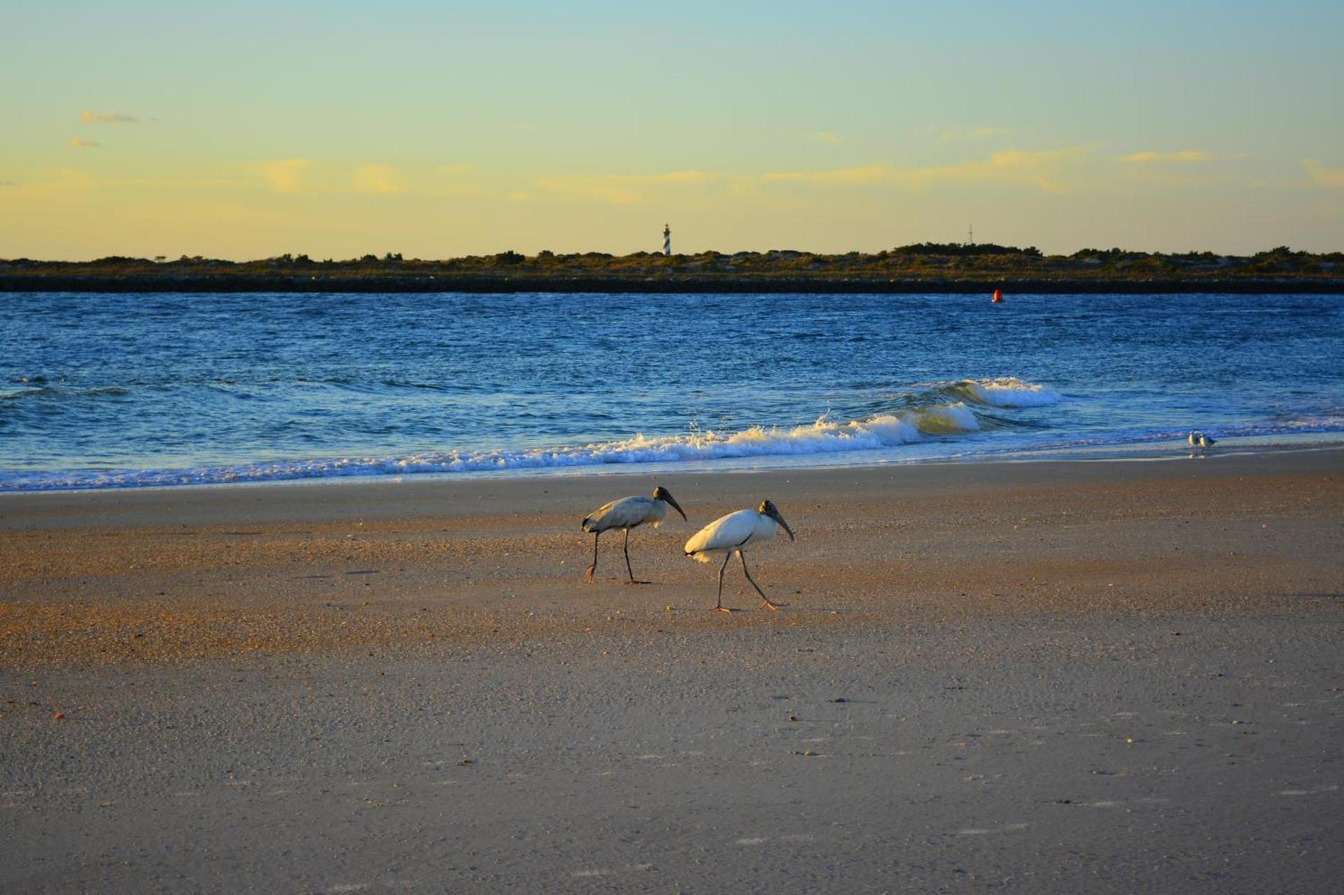 The Saint Augustine Beach House photo 14
