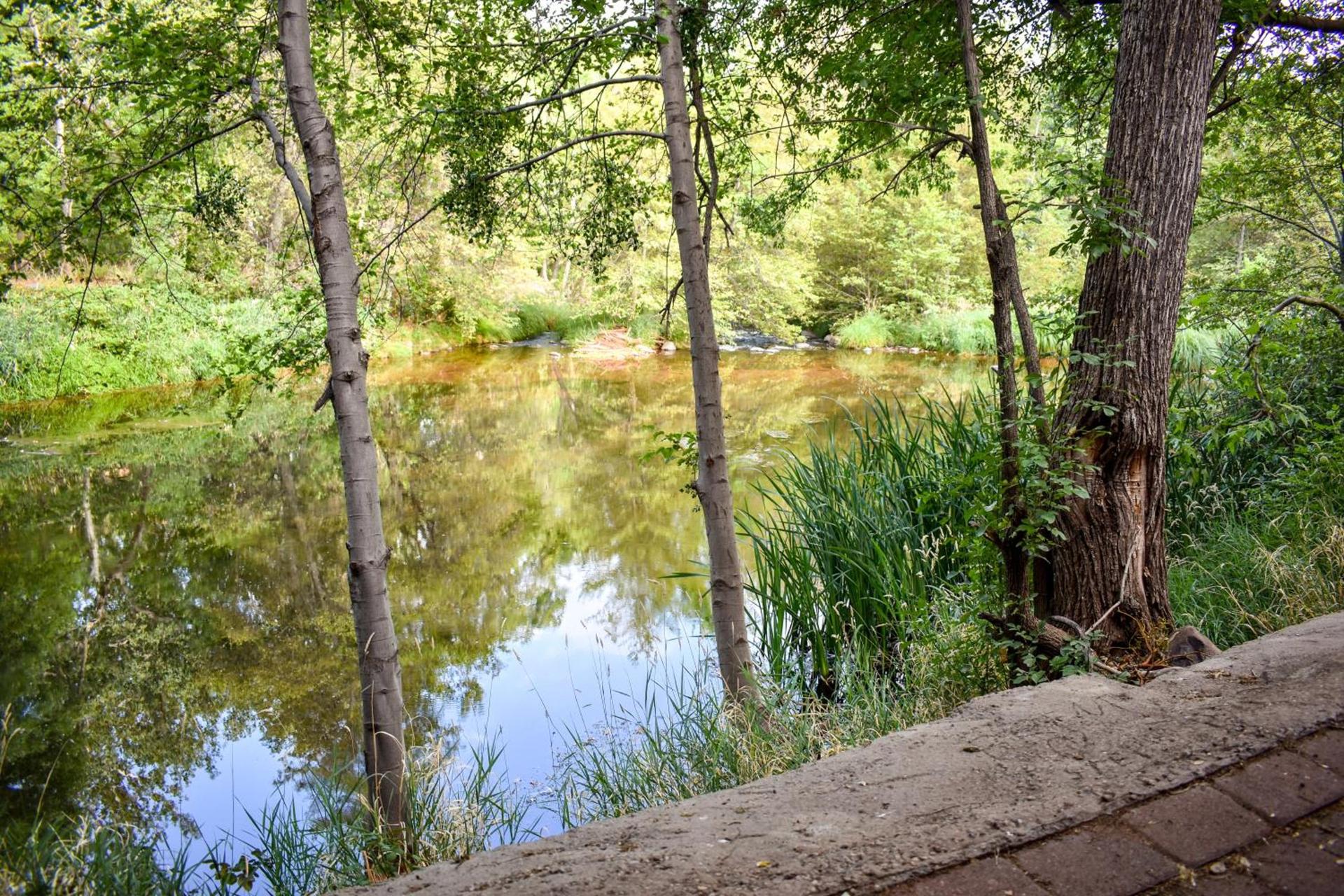 Cedars Resort photo 8