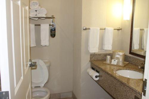 Holiday Inn Express Hotel & Suites New Iberia - Avery Island by IHG photo 6