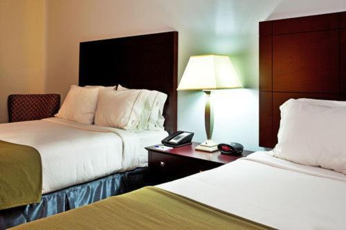 Holiday Inn Express Hotel & Suites New Iberia - Avery Island by IHG photo 3